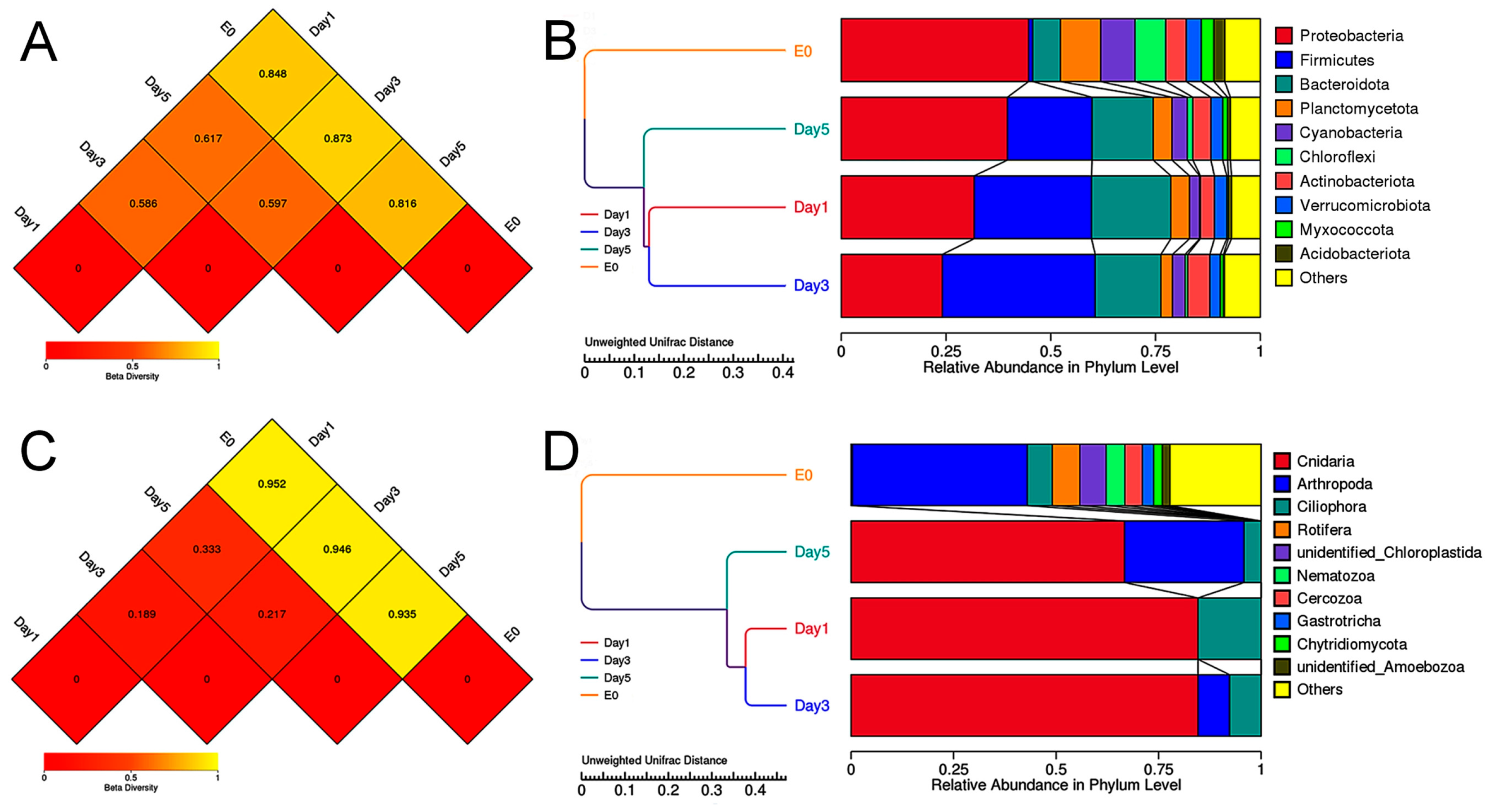 Biology 14 00665 g006