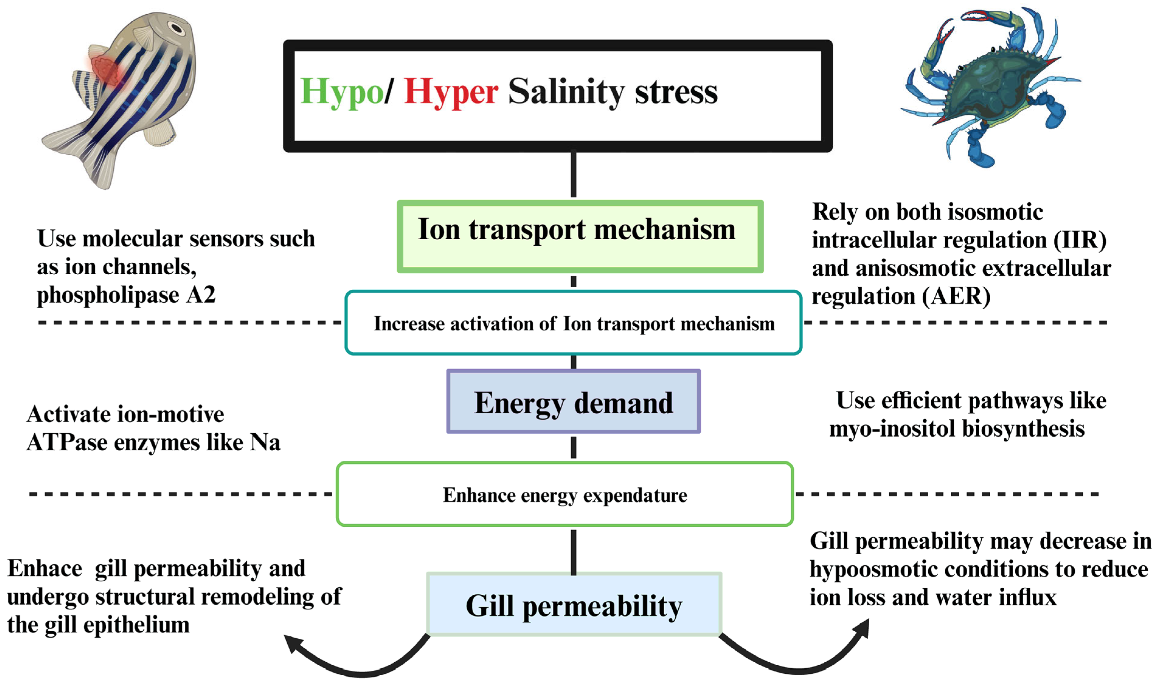 Biology 14 00667 g001 Biology 14 00667 g001