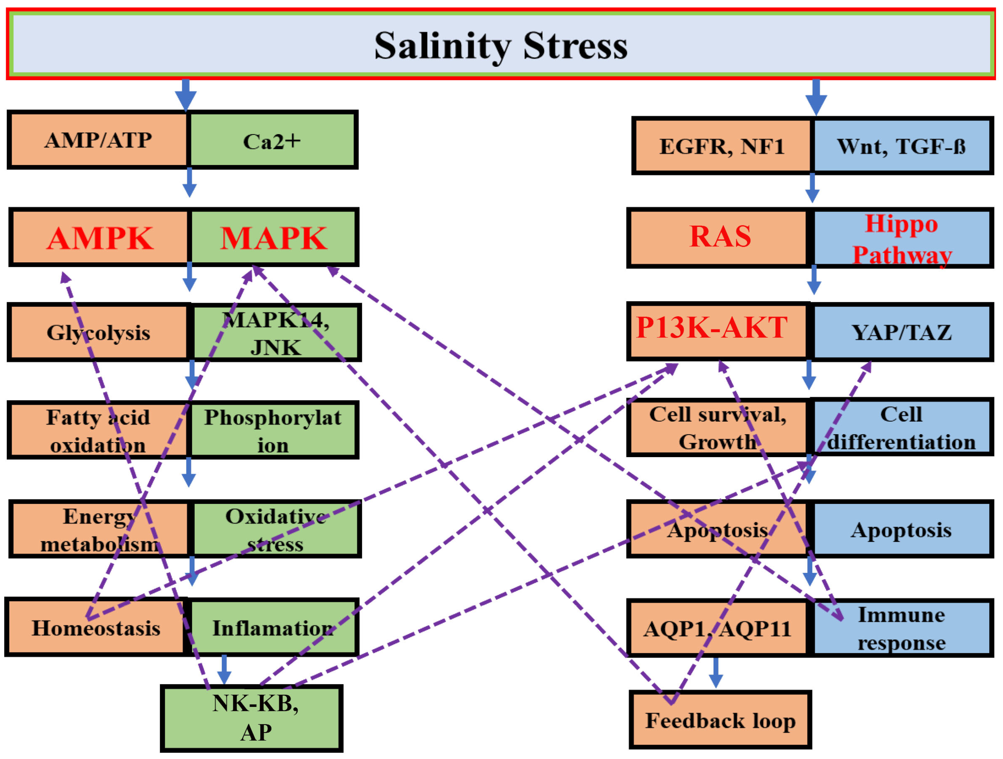 Biology 14 00667 g002 Biology 14 00667 g002