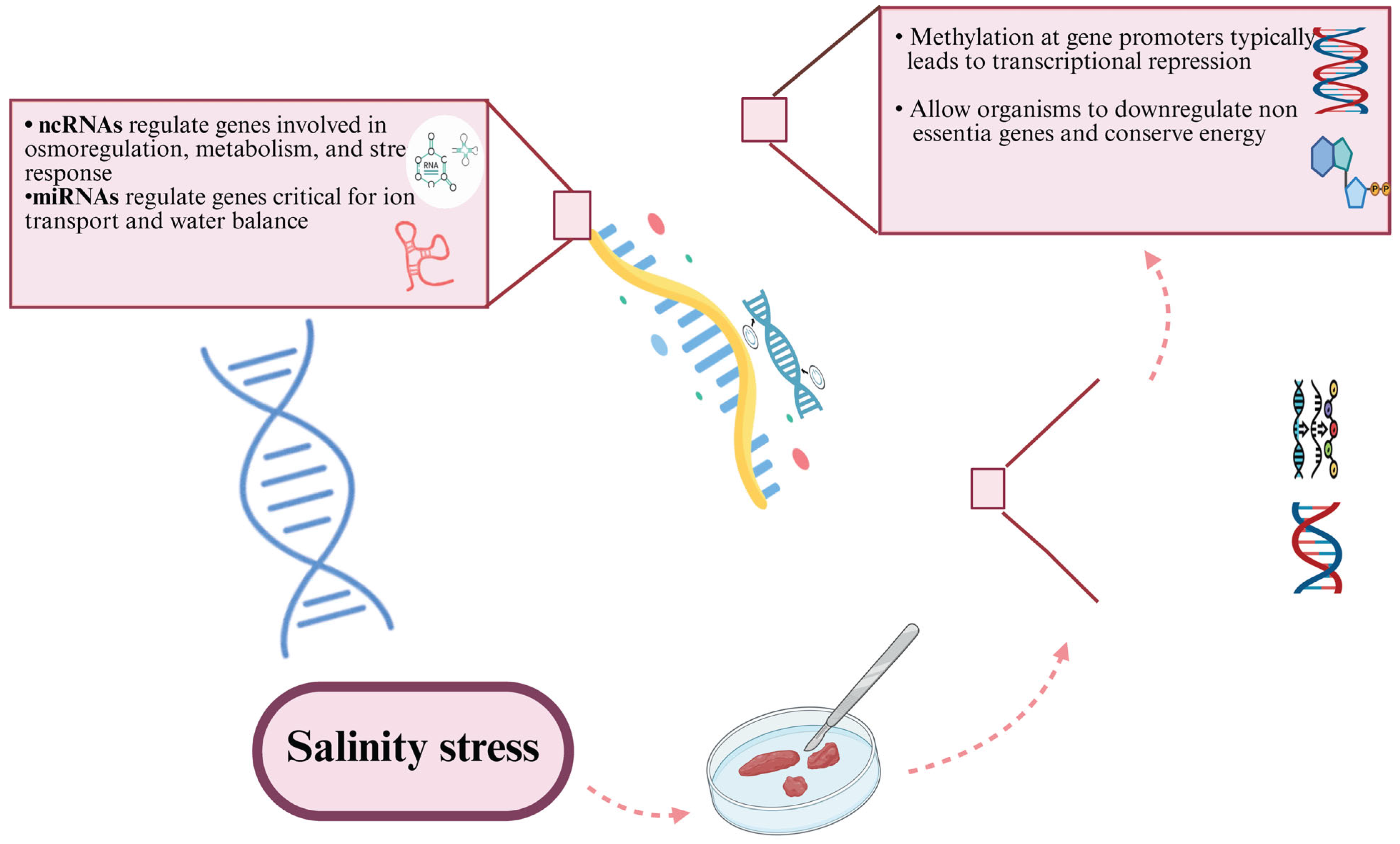 Biology 14 00667 g003 Biology 14 00667 g003