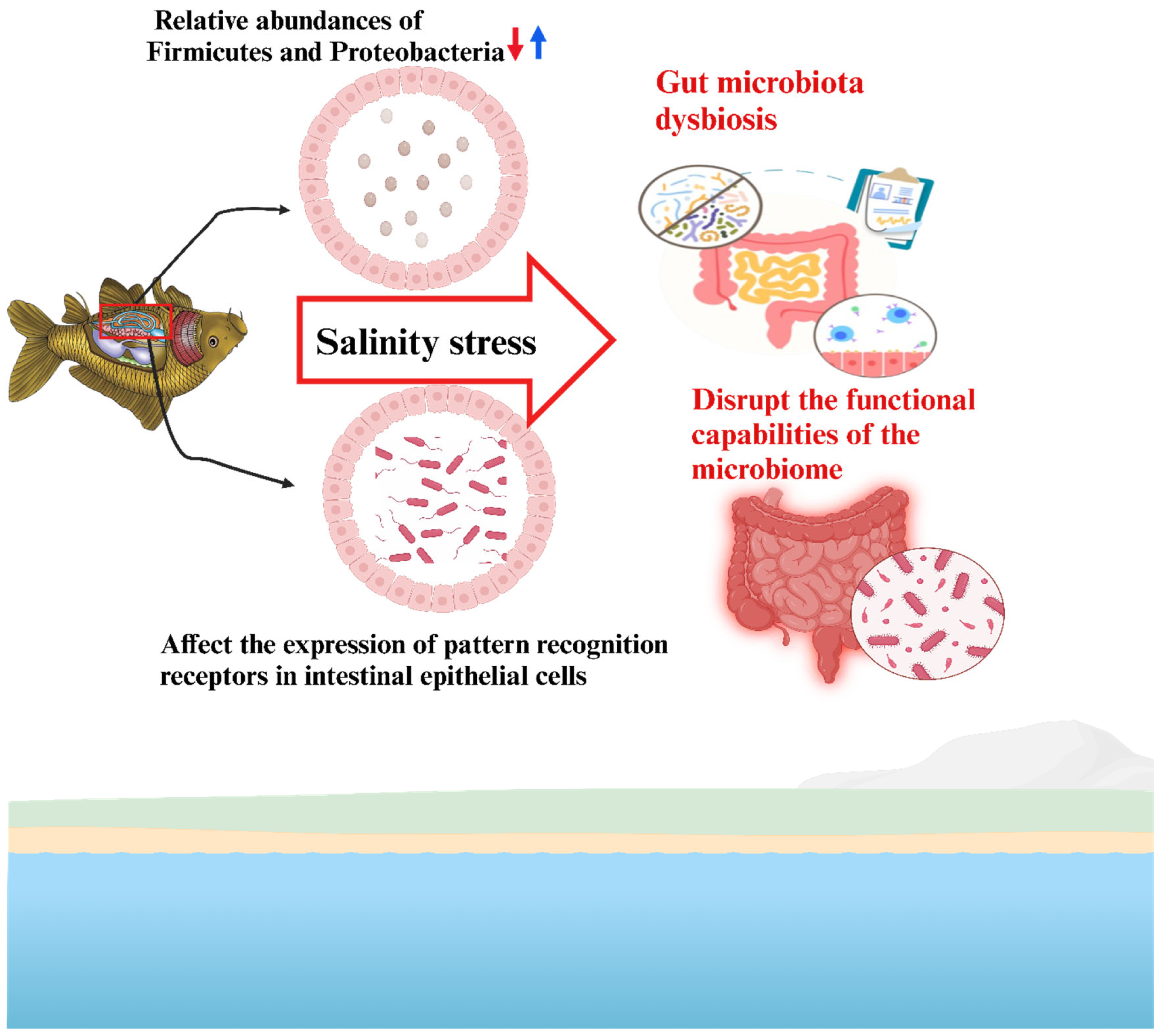 Biology 14 00667 g004 Biology 14 00667 g004