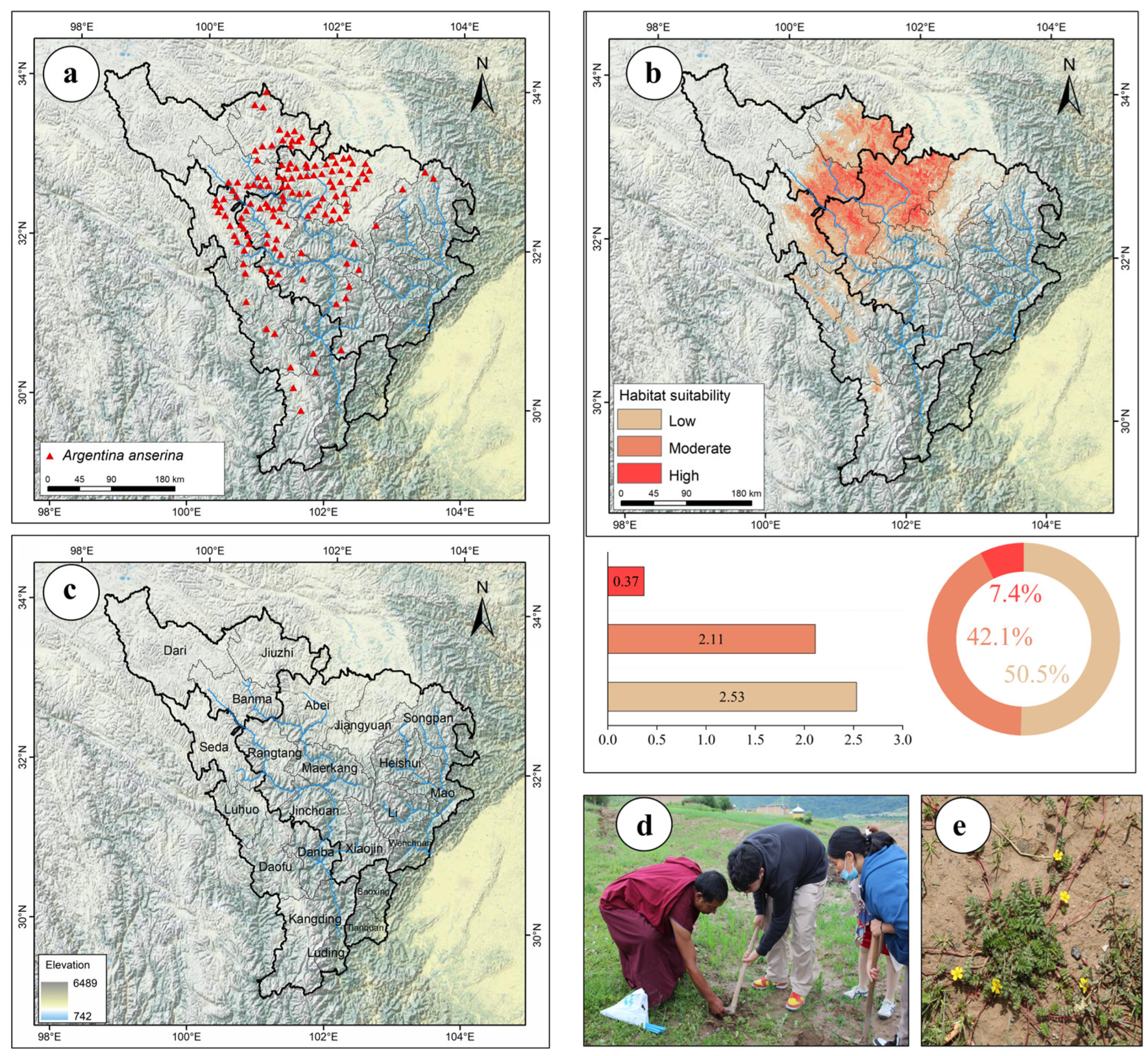 Biology 14 00668 g001