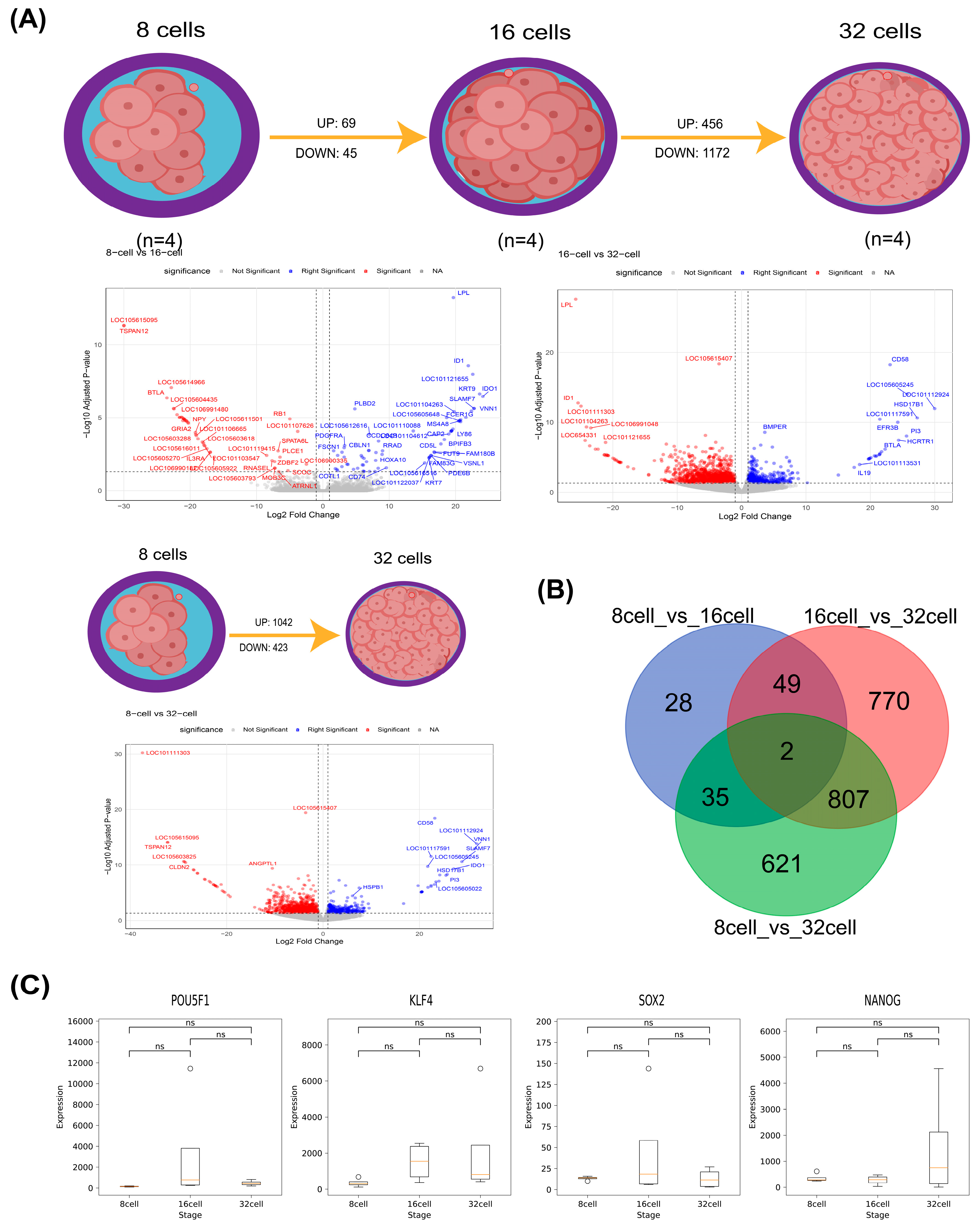 Biology 14 00676 g001