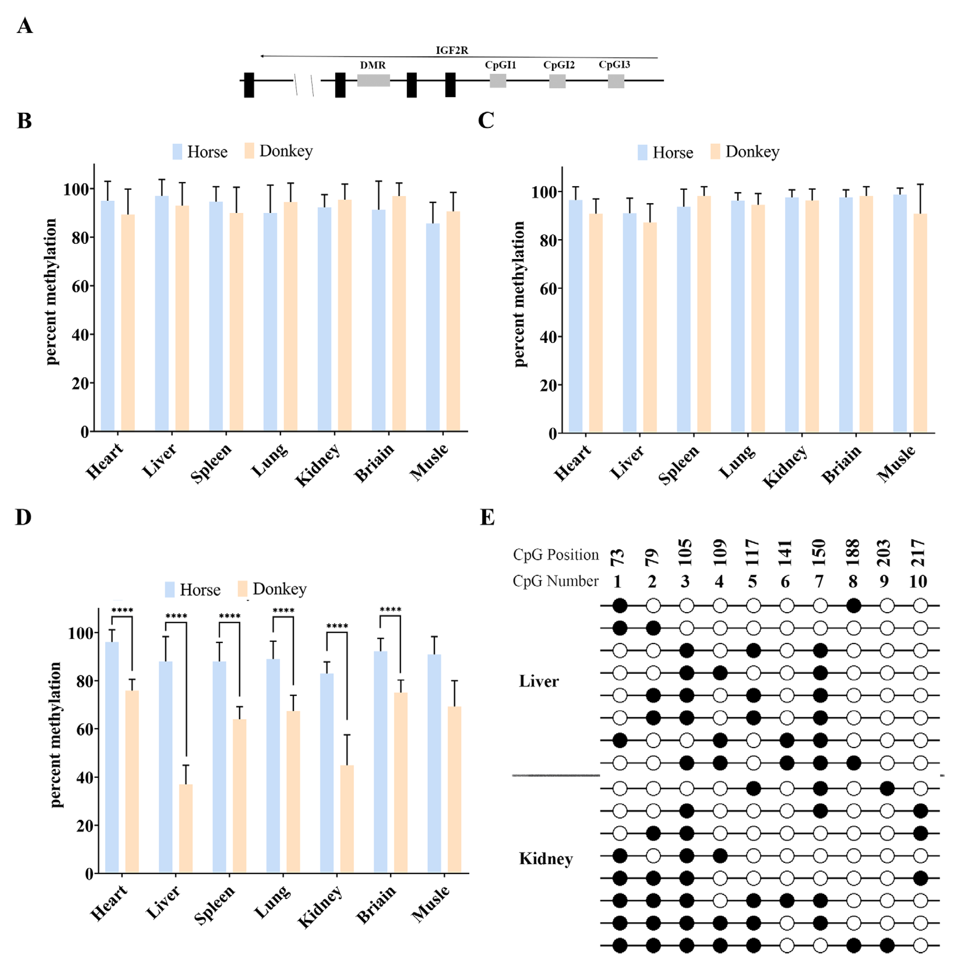 Biology 14 00678 g003
