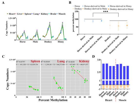 DNA Methylation of Igf2r Promoter CpG Island 2 Governs Cis