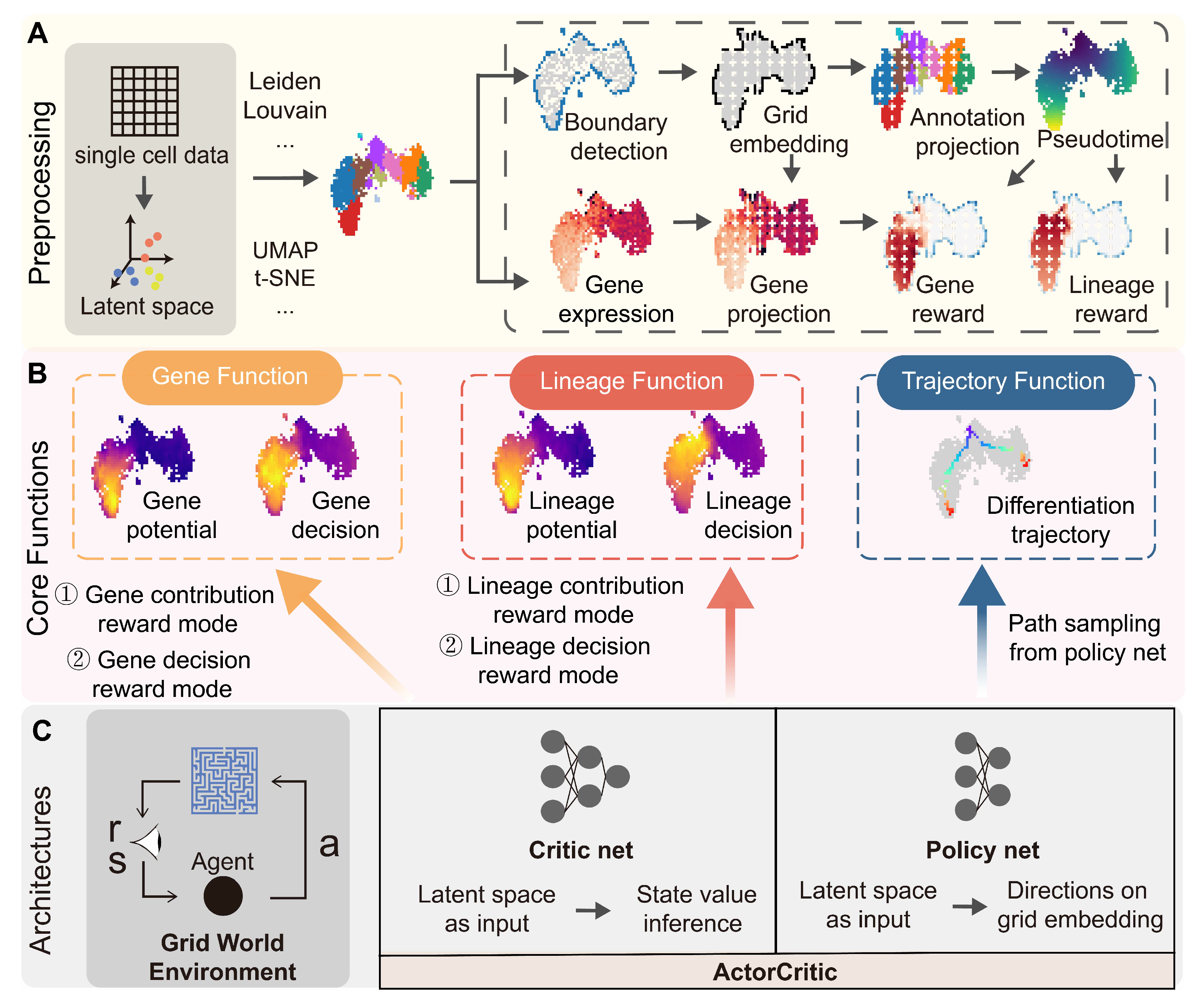 scRL: Utilizing Reinforcement Learning to Evaluate Fate