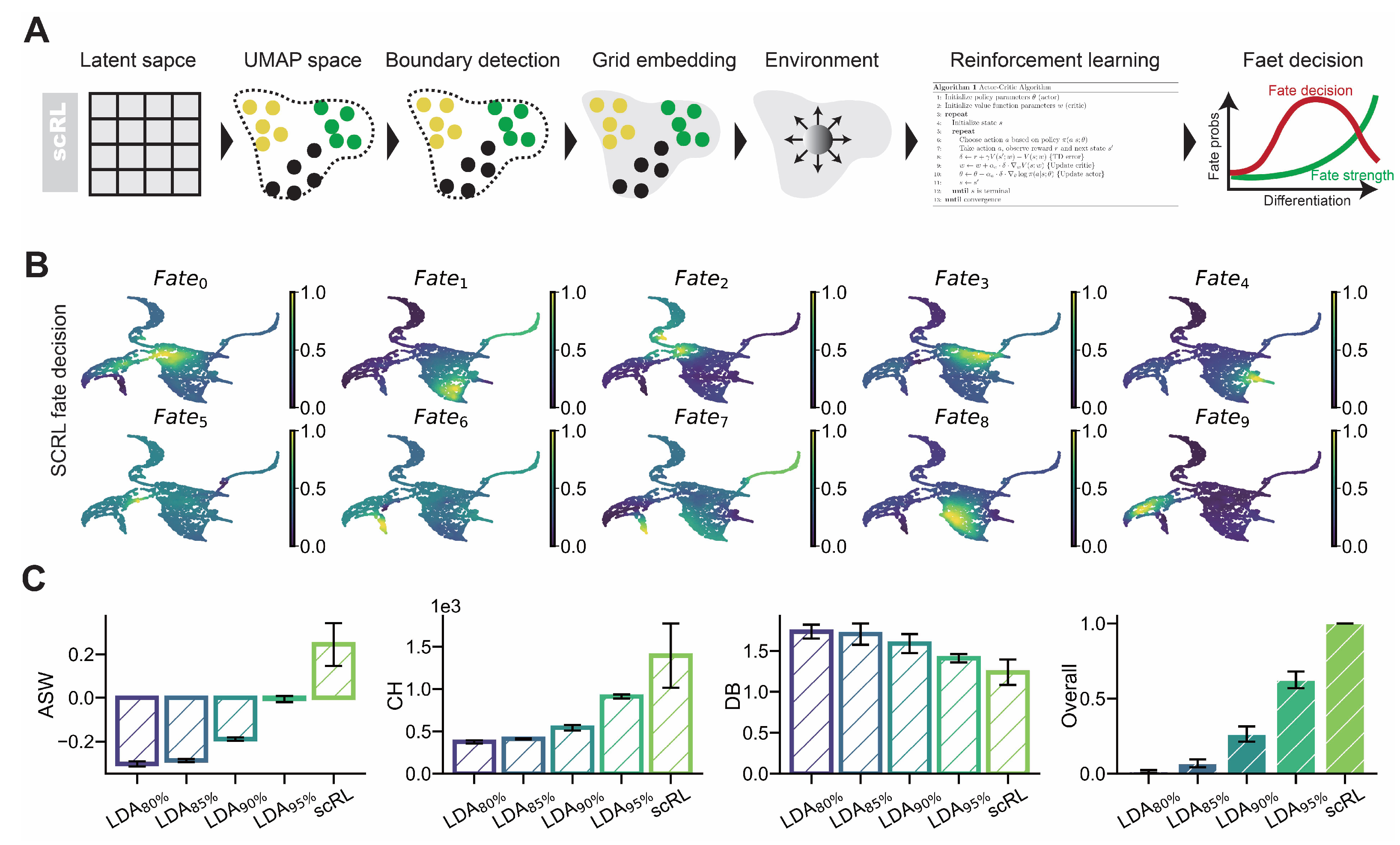 Biology 14 00679 g003