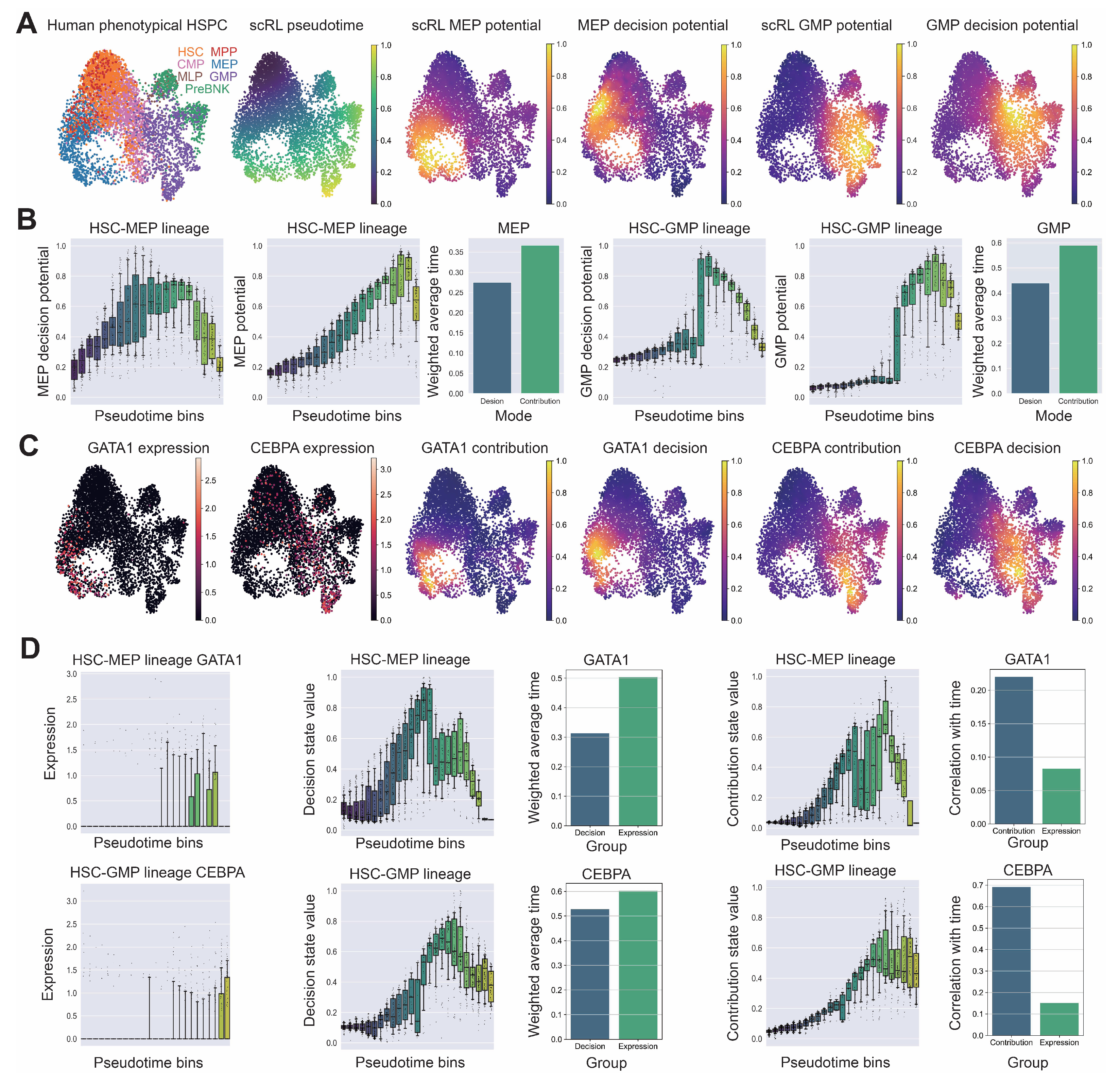 Biology 14 00679 g007