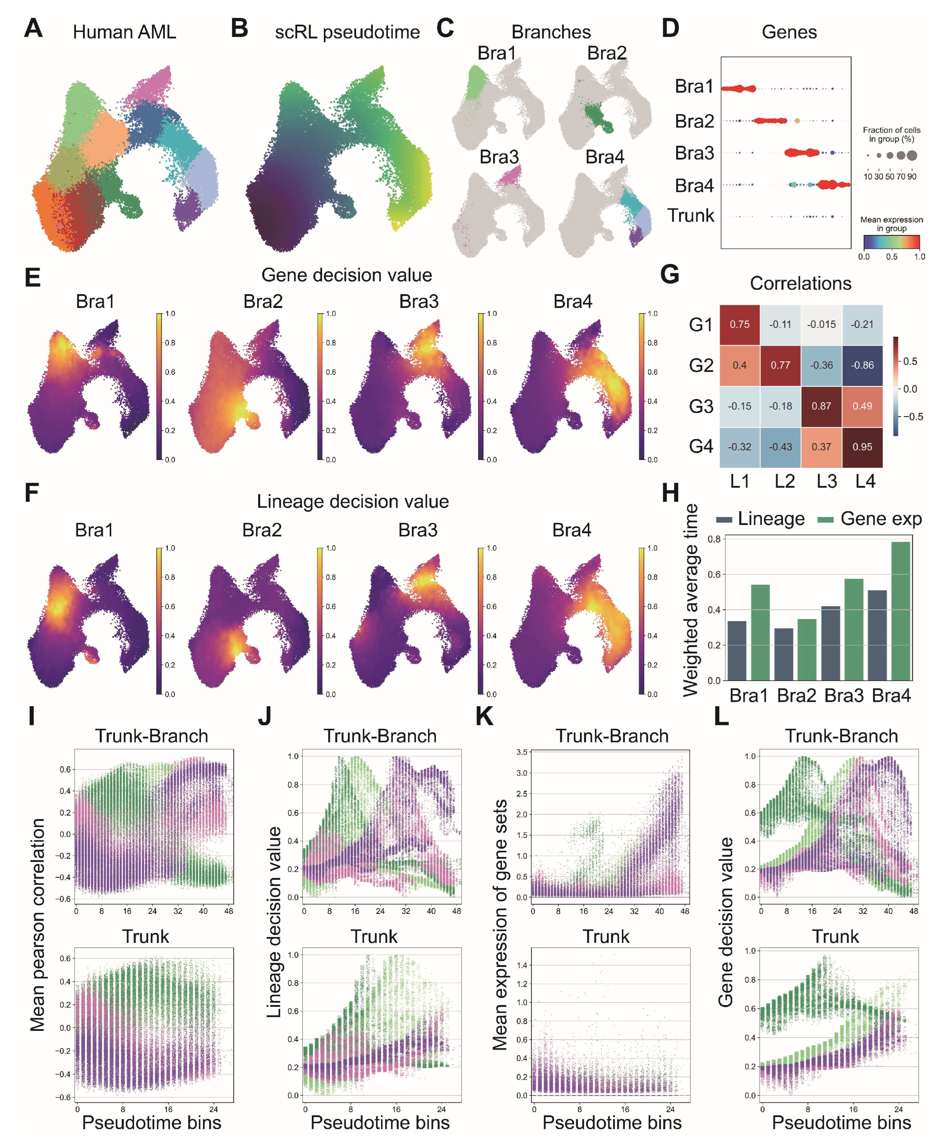 Biology 14 00679 g008
