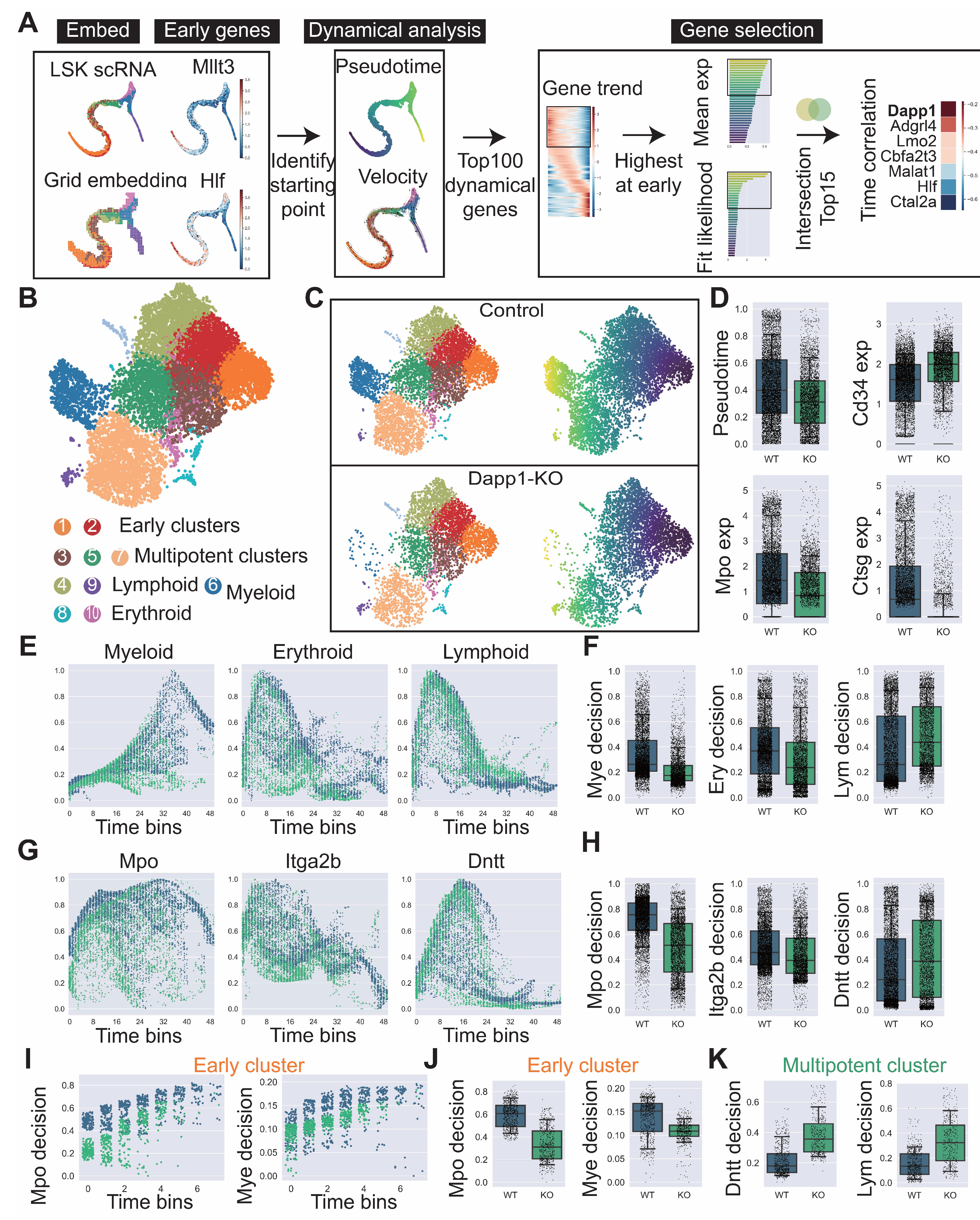 Biology 14 00679 g009