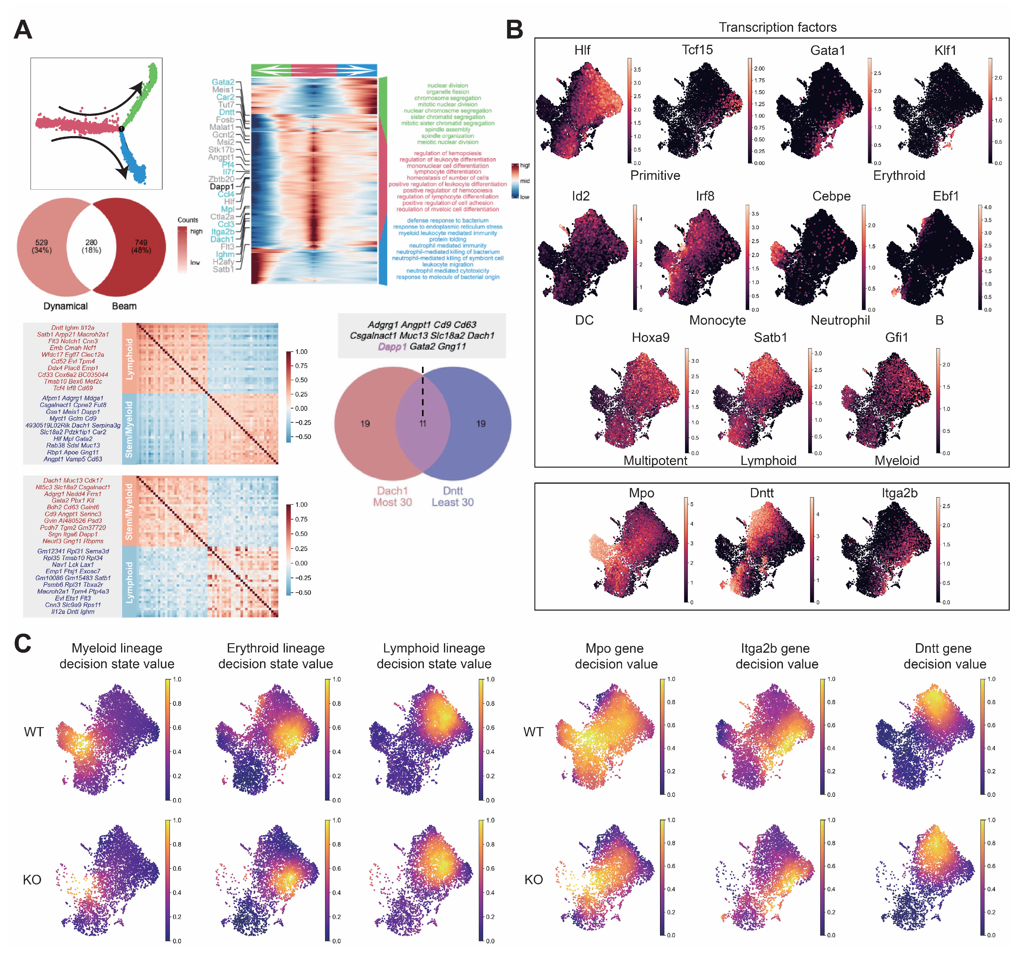 Biology 14 00679 g0a7