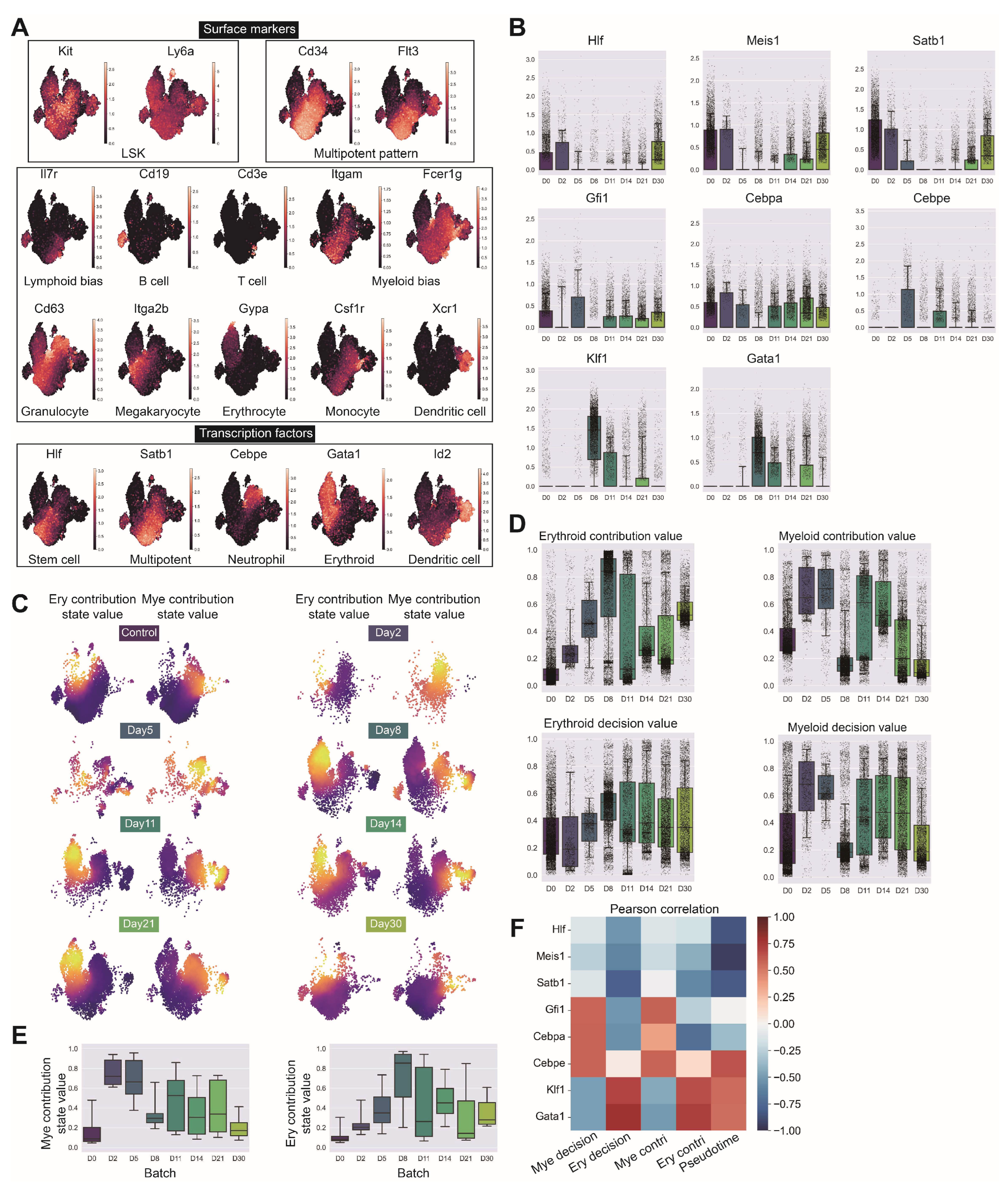 Biology 14 00679 g0a9