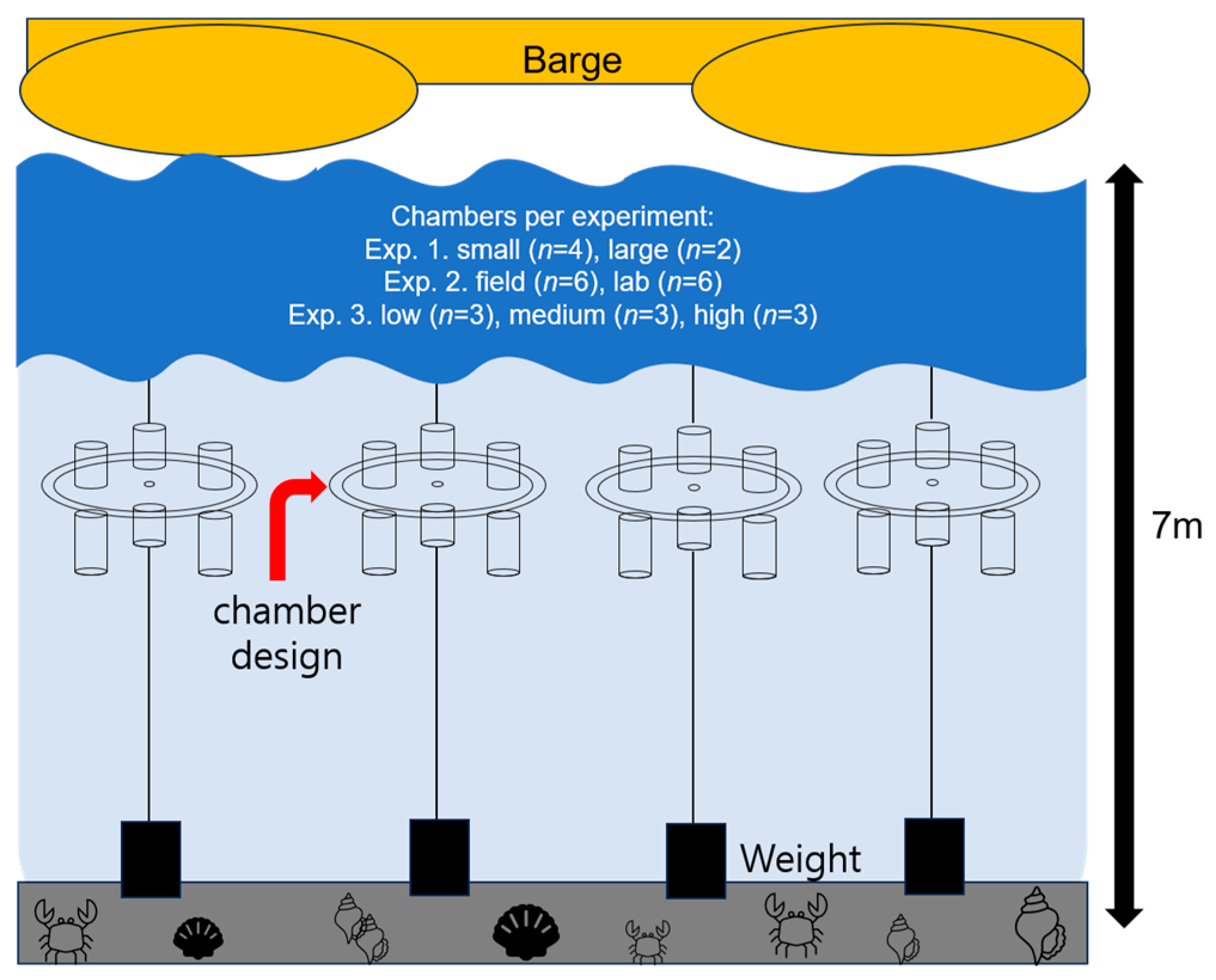 Biology 14 00687 g002 Biology 14 00687 g002