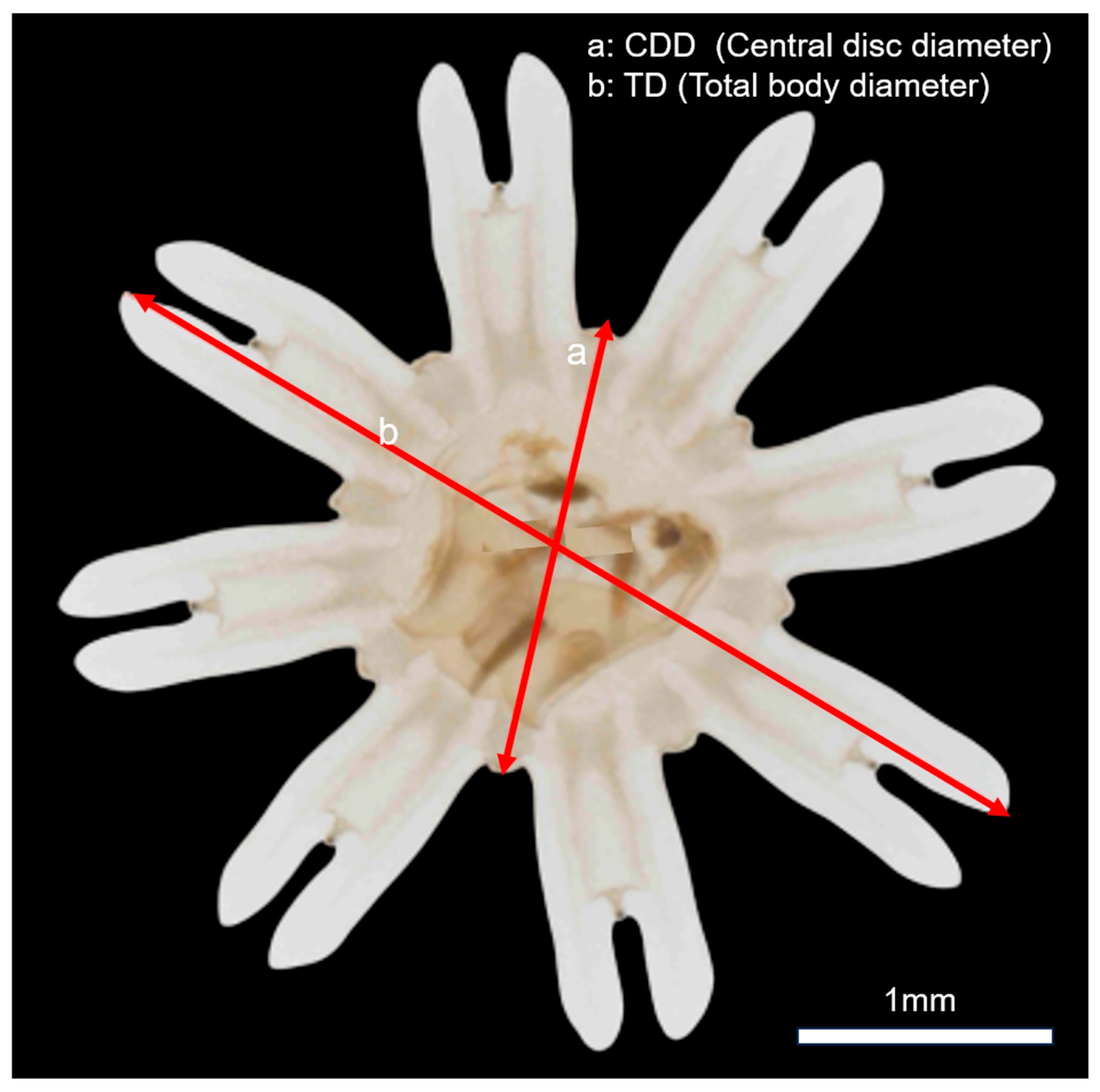 Biology 14 00687 g003 Biology 14 00687 g003