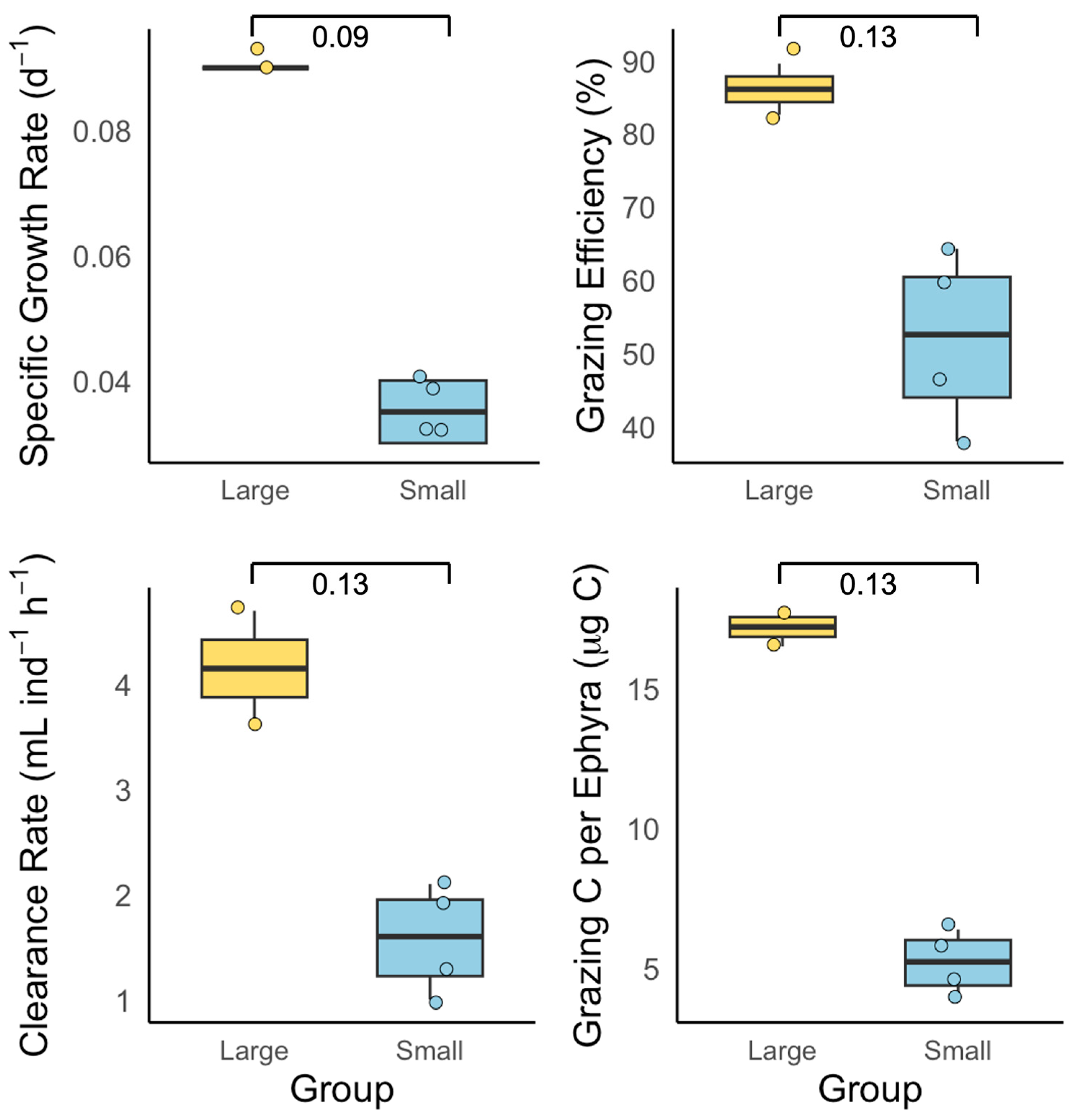Biology 14 00687 g004 Biology 14 00687 g004