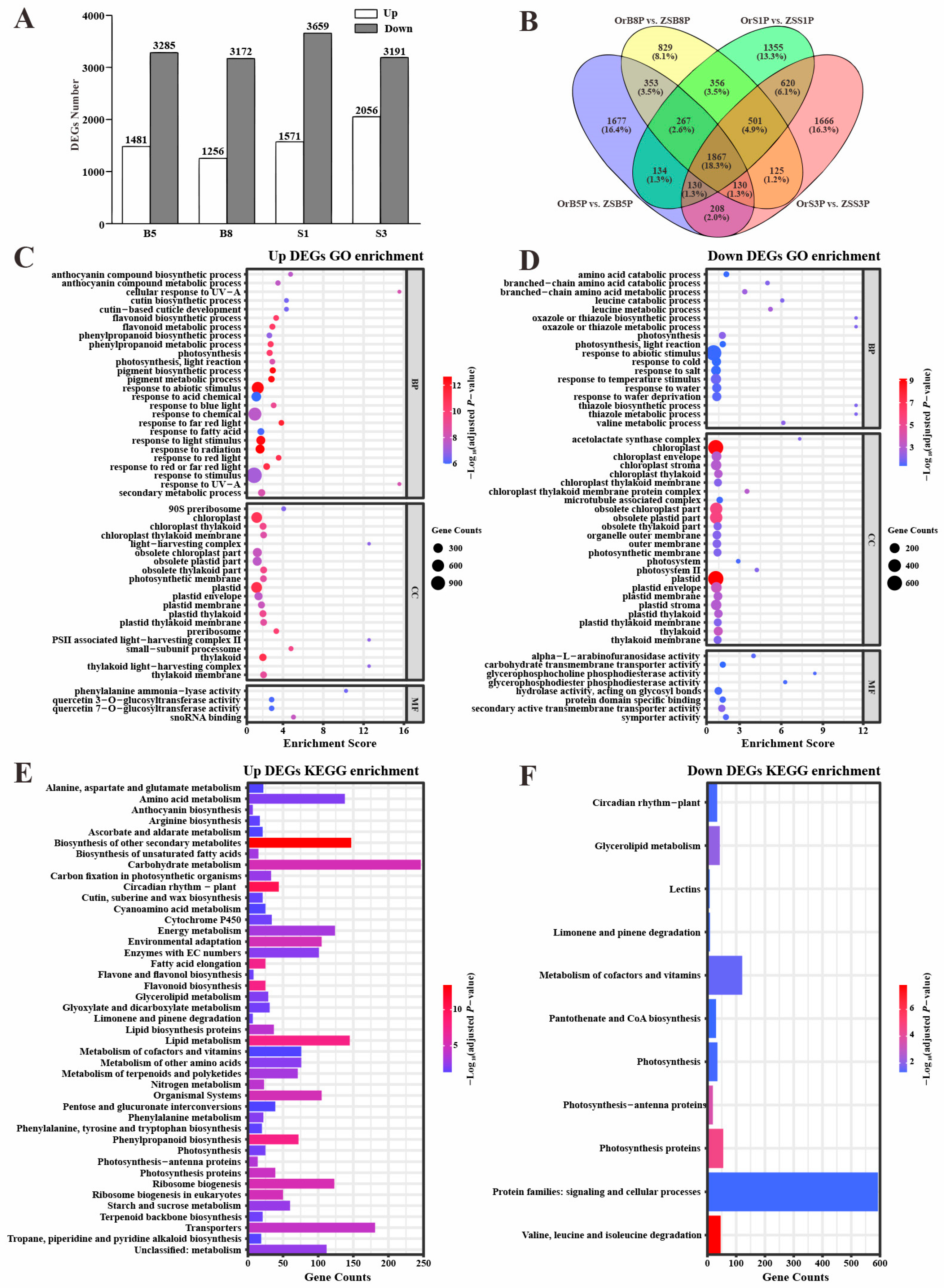 Biology 14 00693 g003