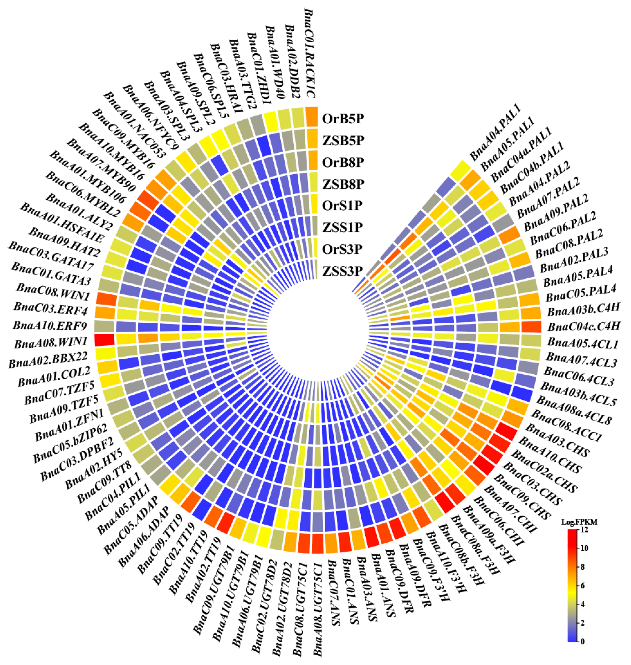 Biology 14 00693 g006