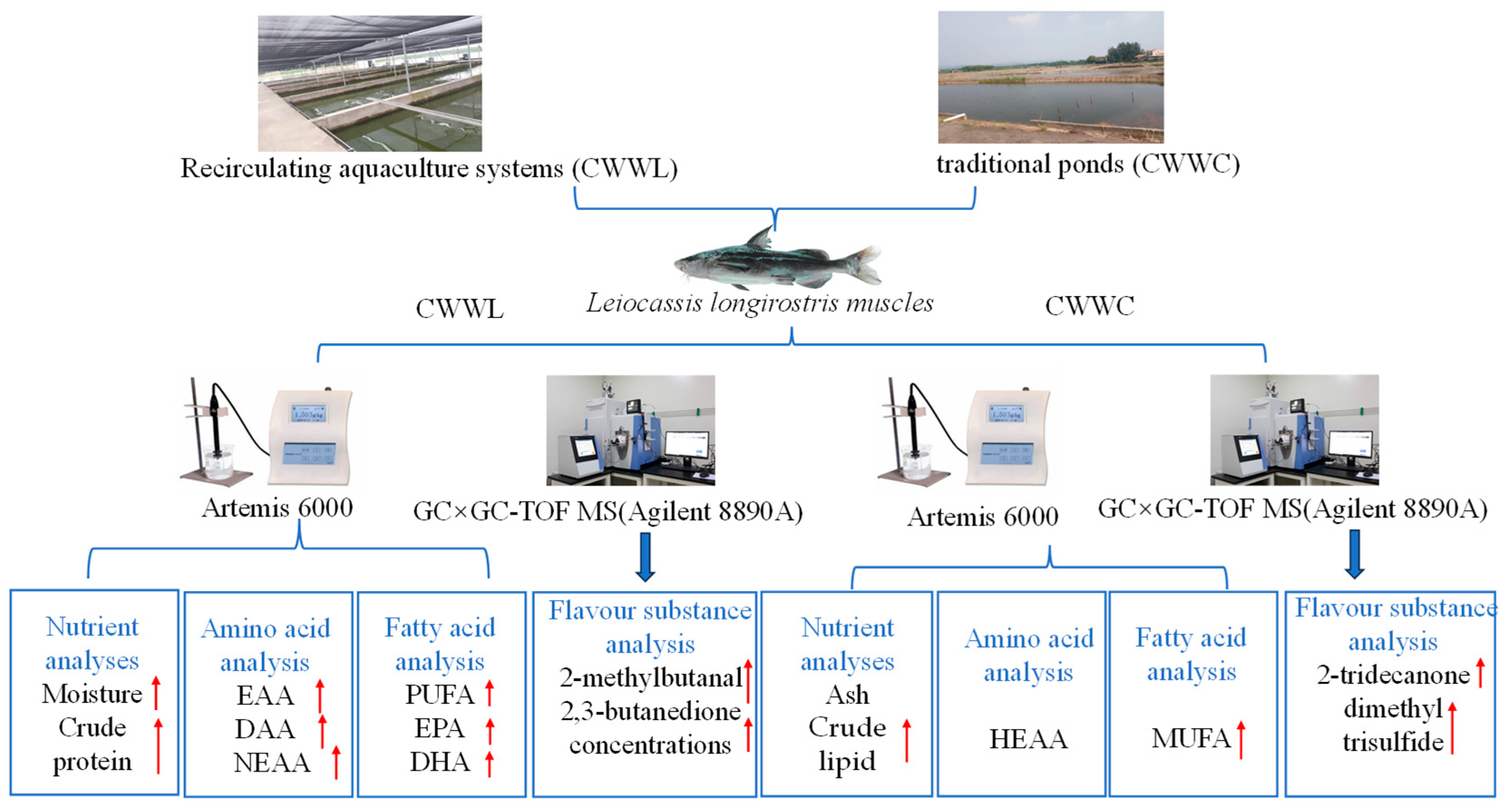 Biology 14 00694 g001