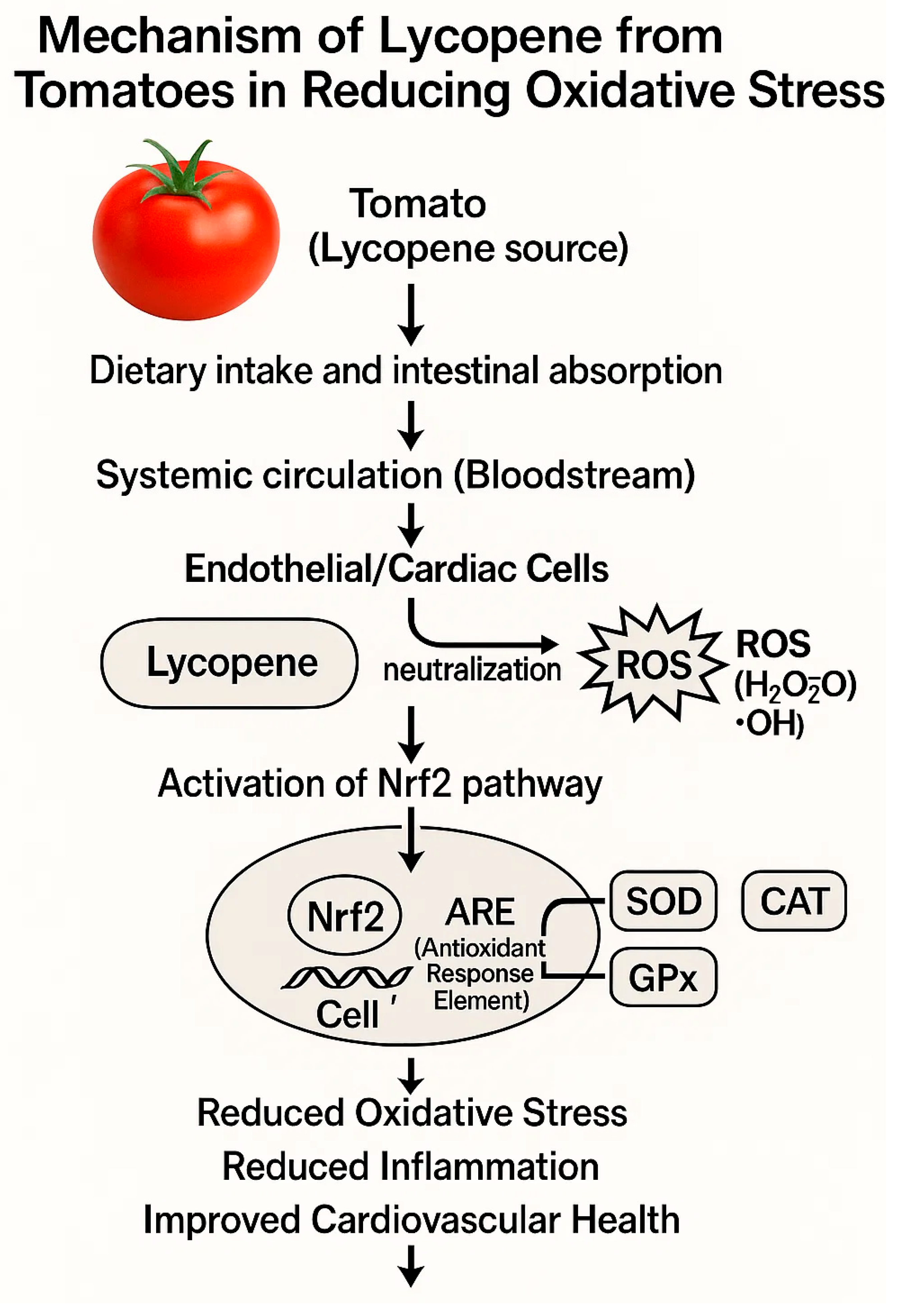 Biology 14 00695 g002