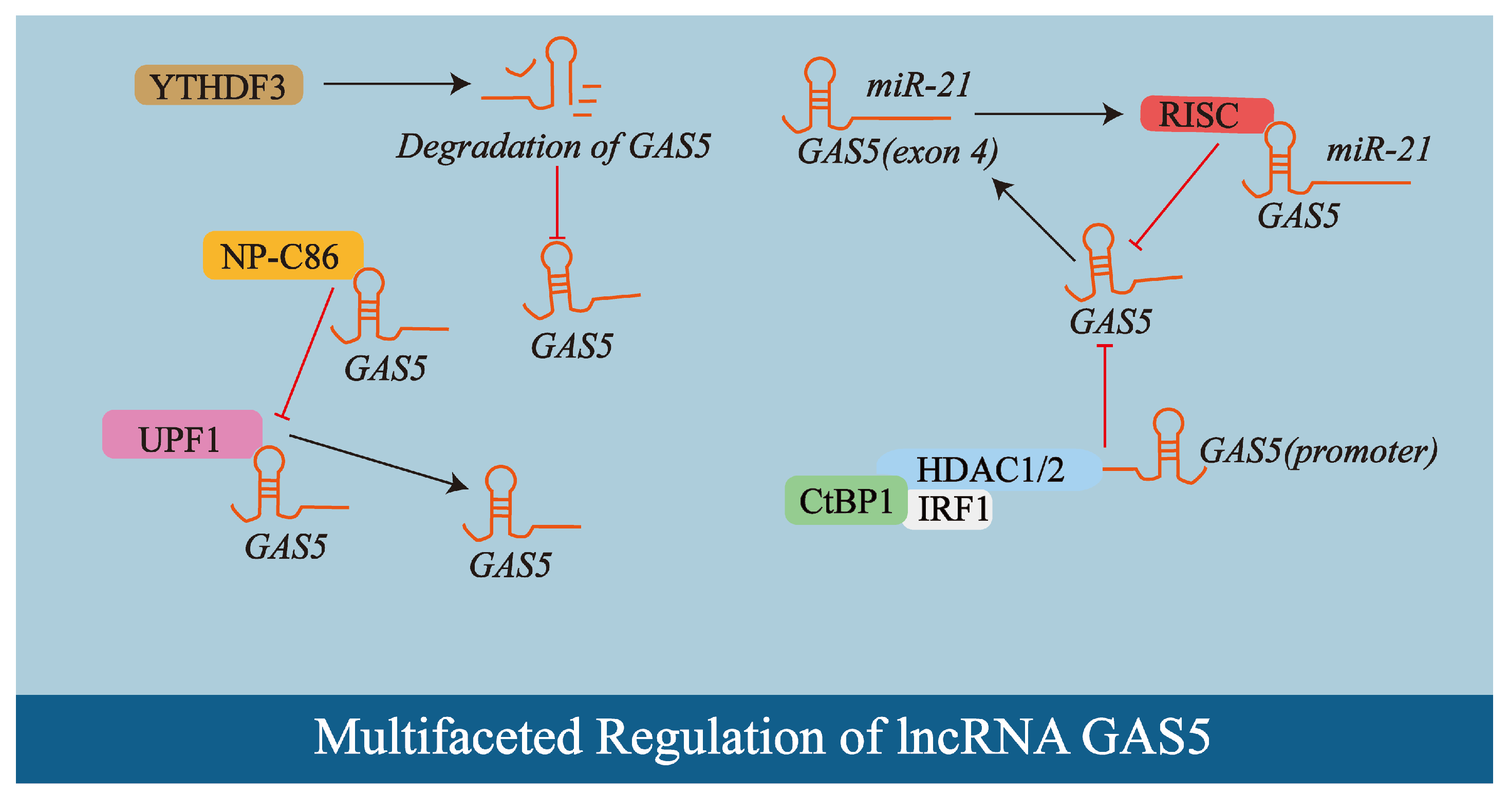 Biology 14 00697 g002