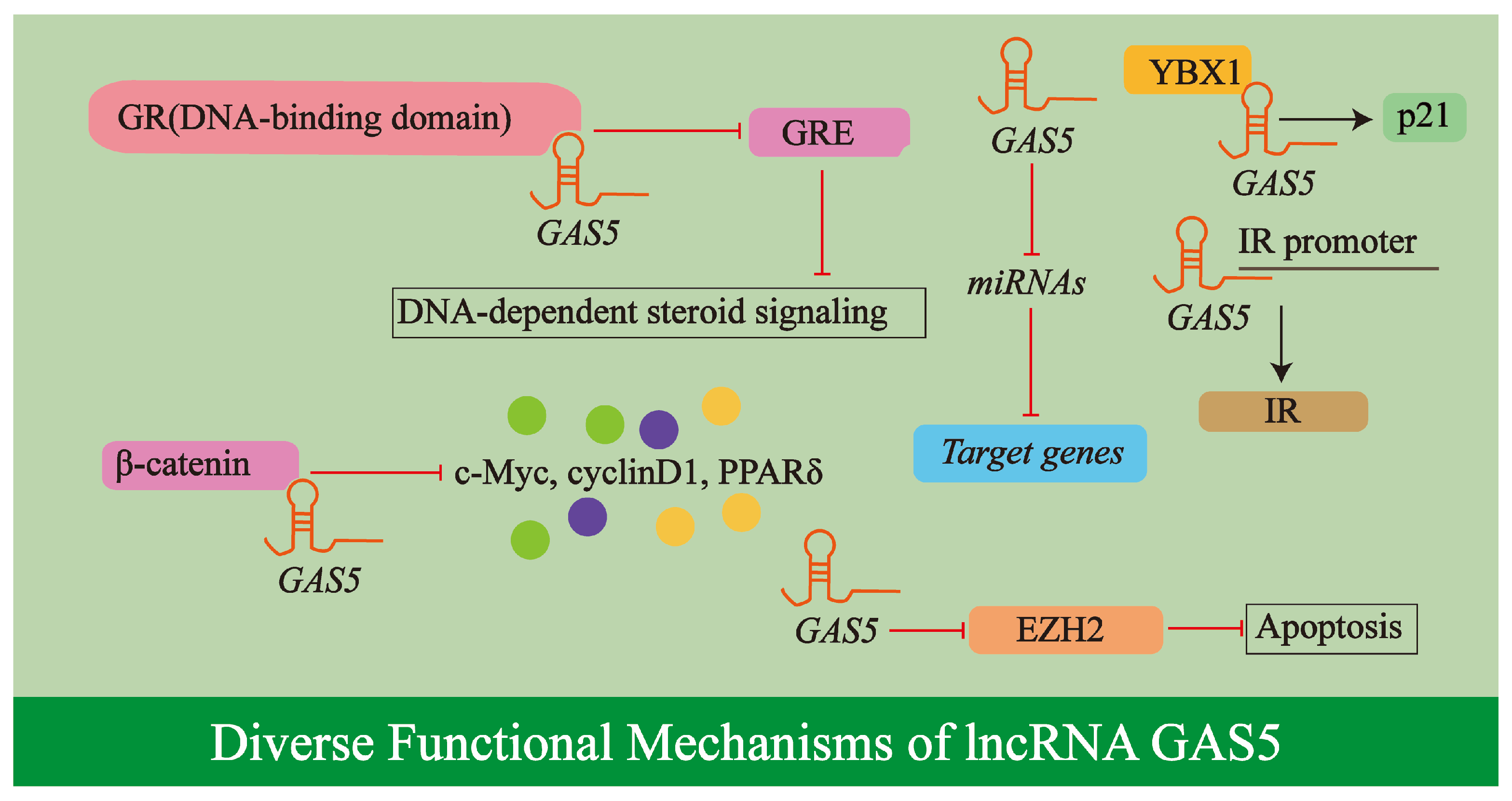 Biology 14 00697 g003