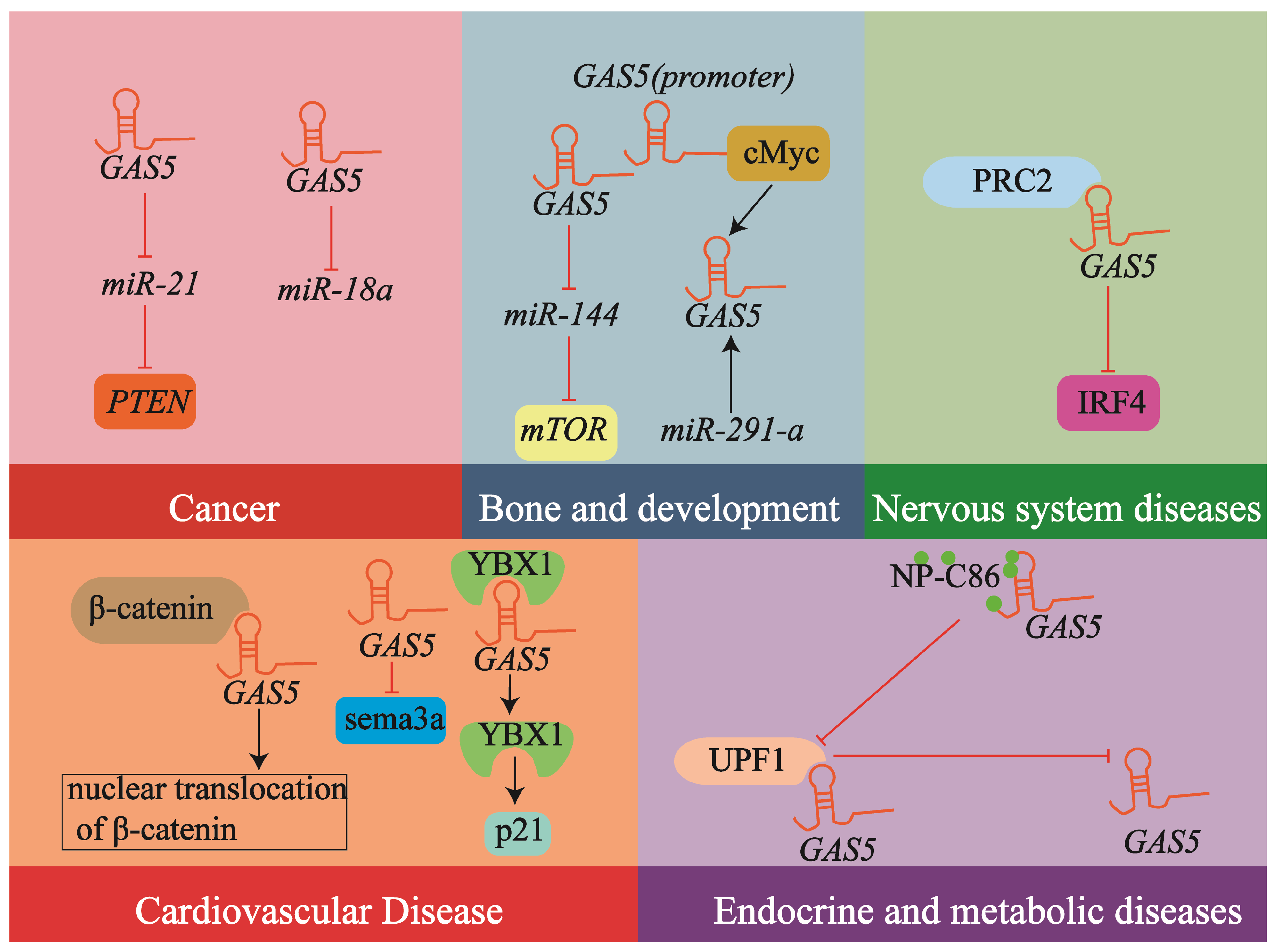 Biology 14 00697 g004