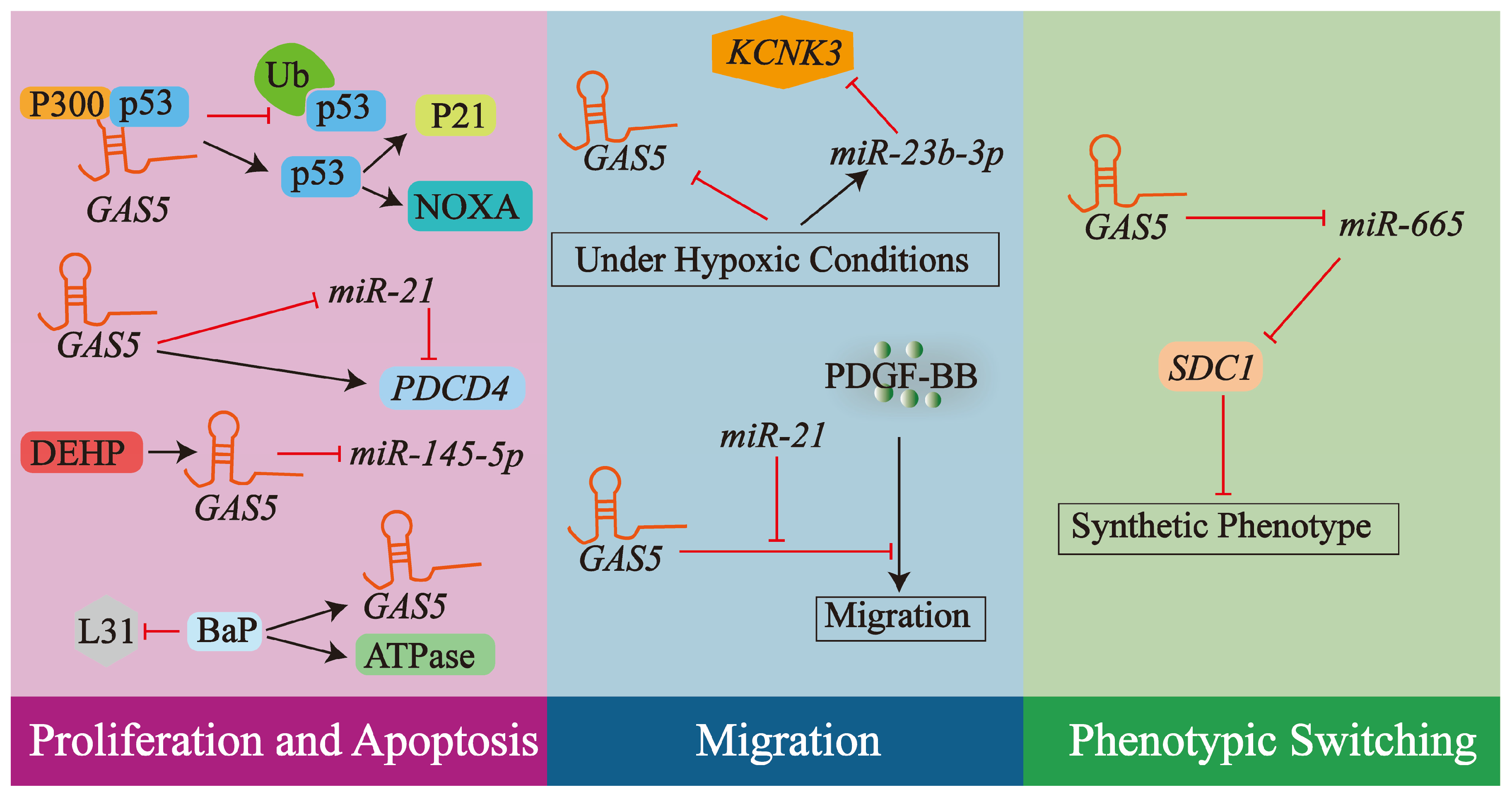 Biology 14 00697 g005