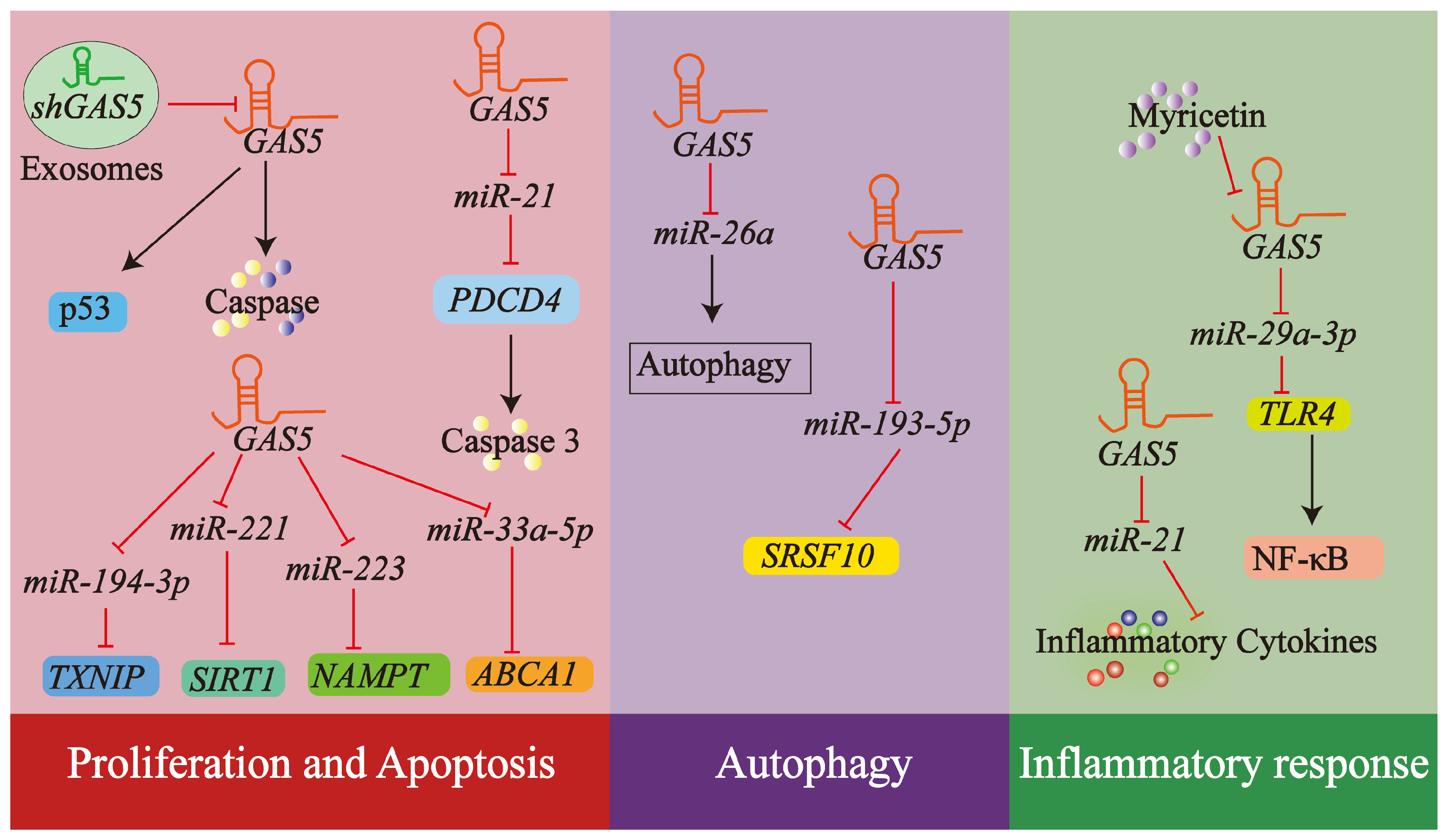 Biology 14 00697 g007