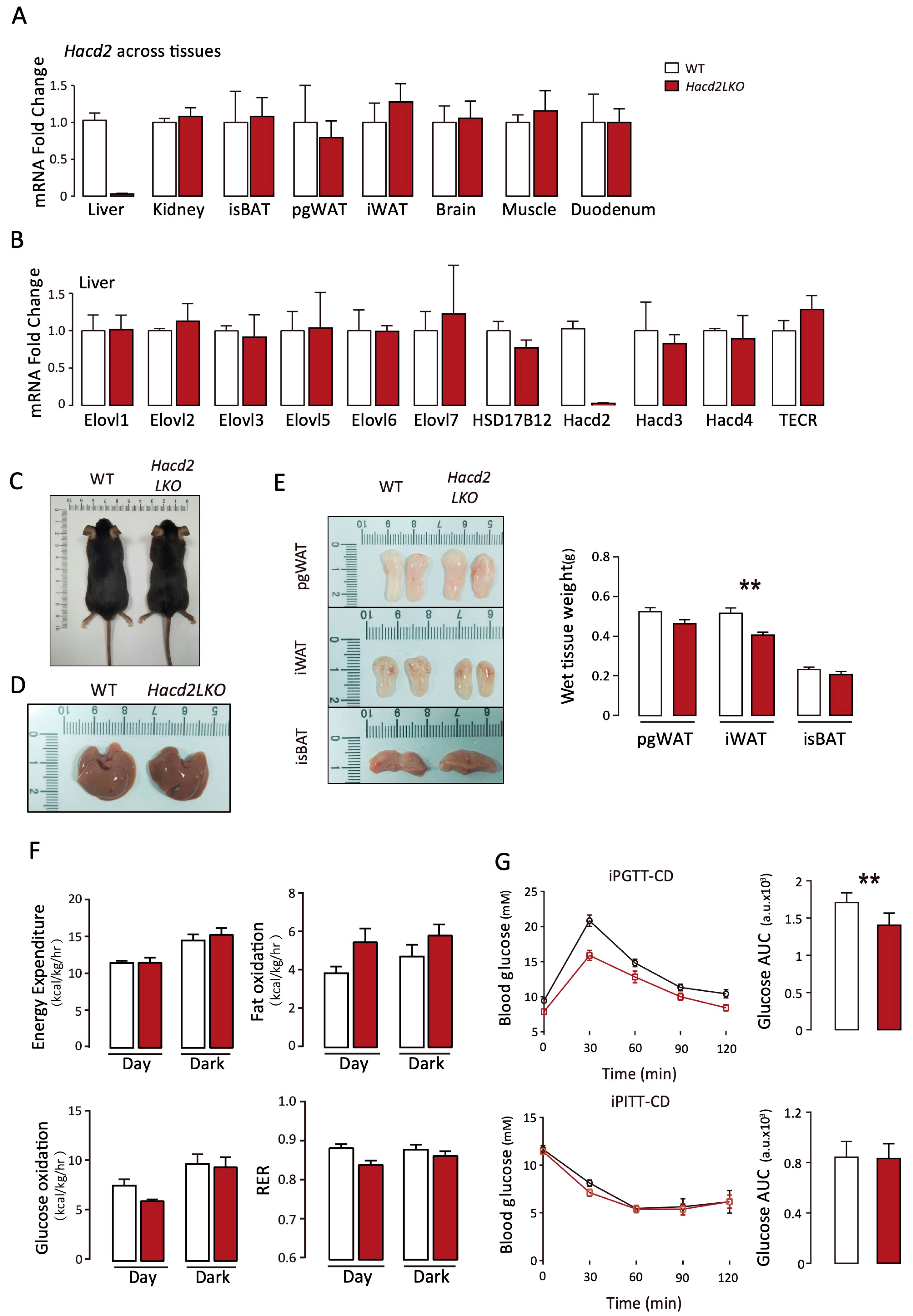 Biology 14 00712 g003