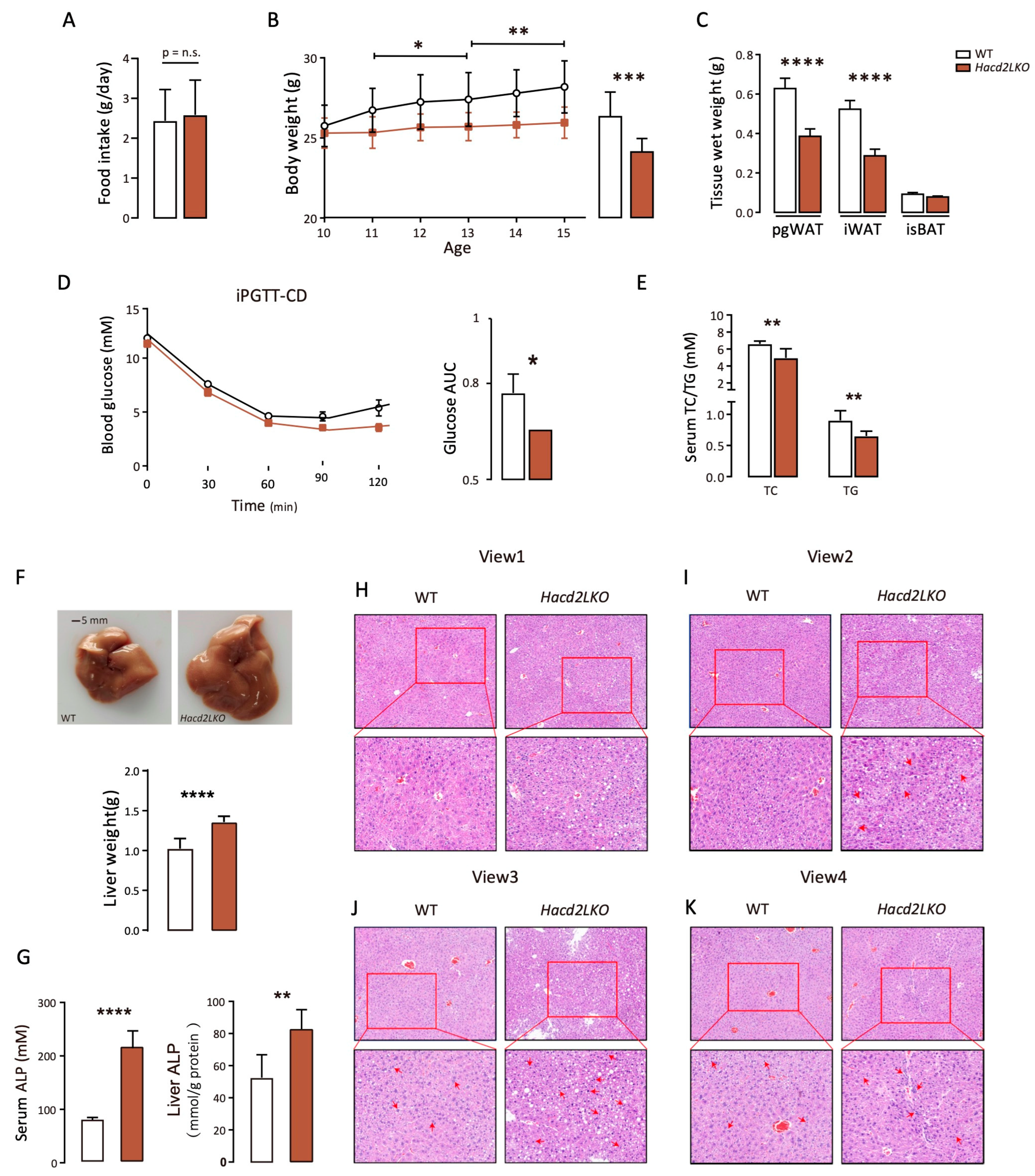 Biology 14 00712 g004