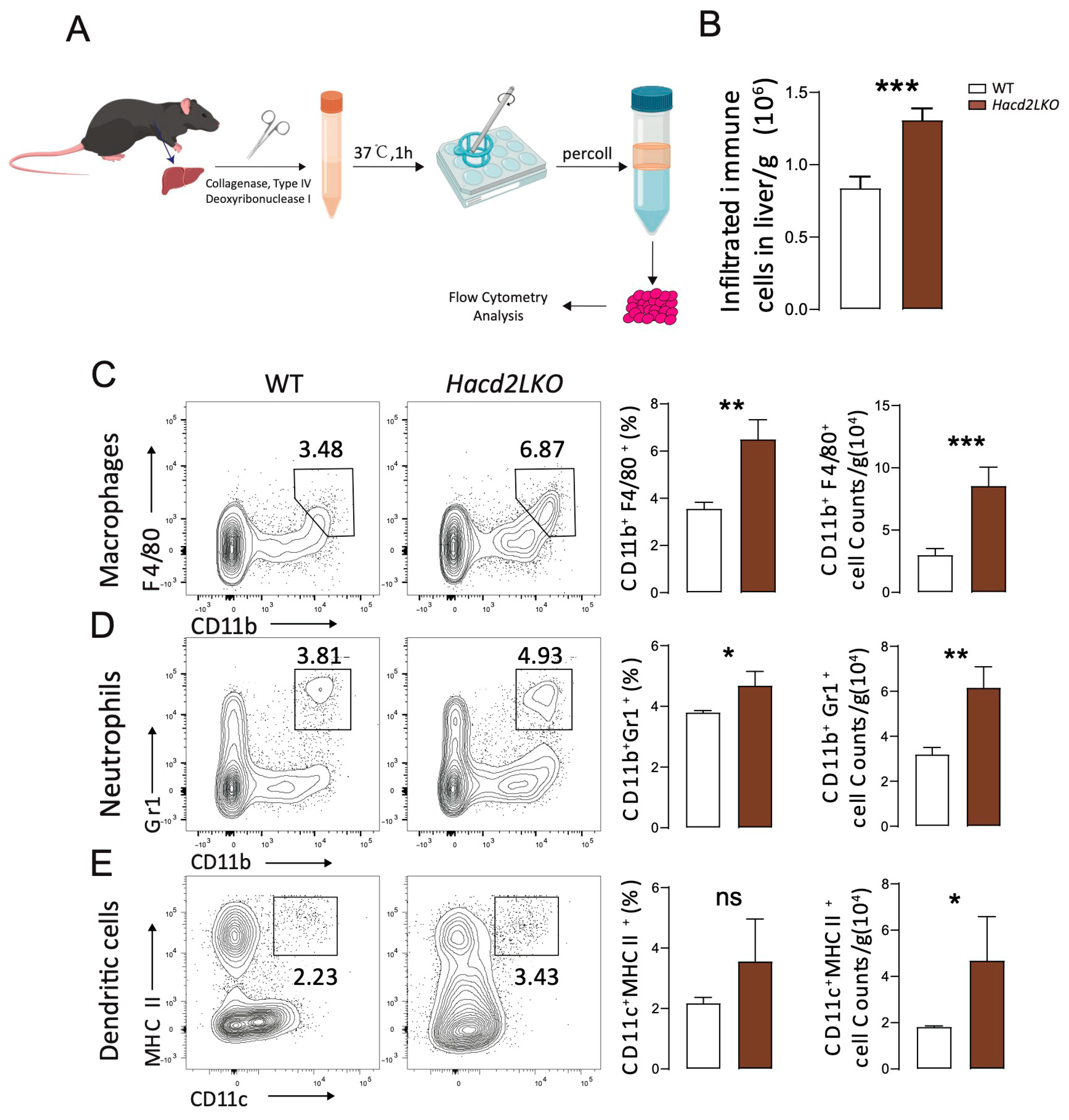 Biology 14 00712 g005