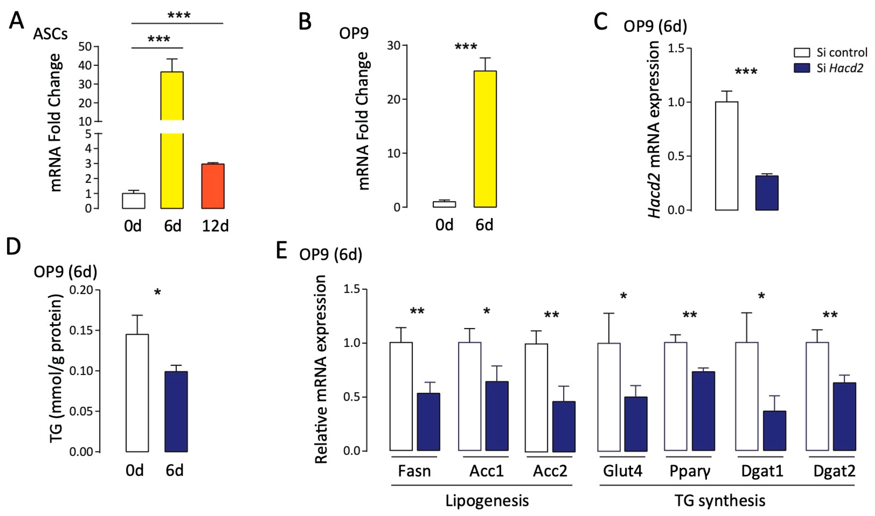 Biology 14 00712 g006
