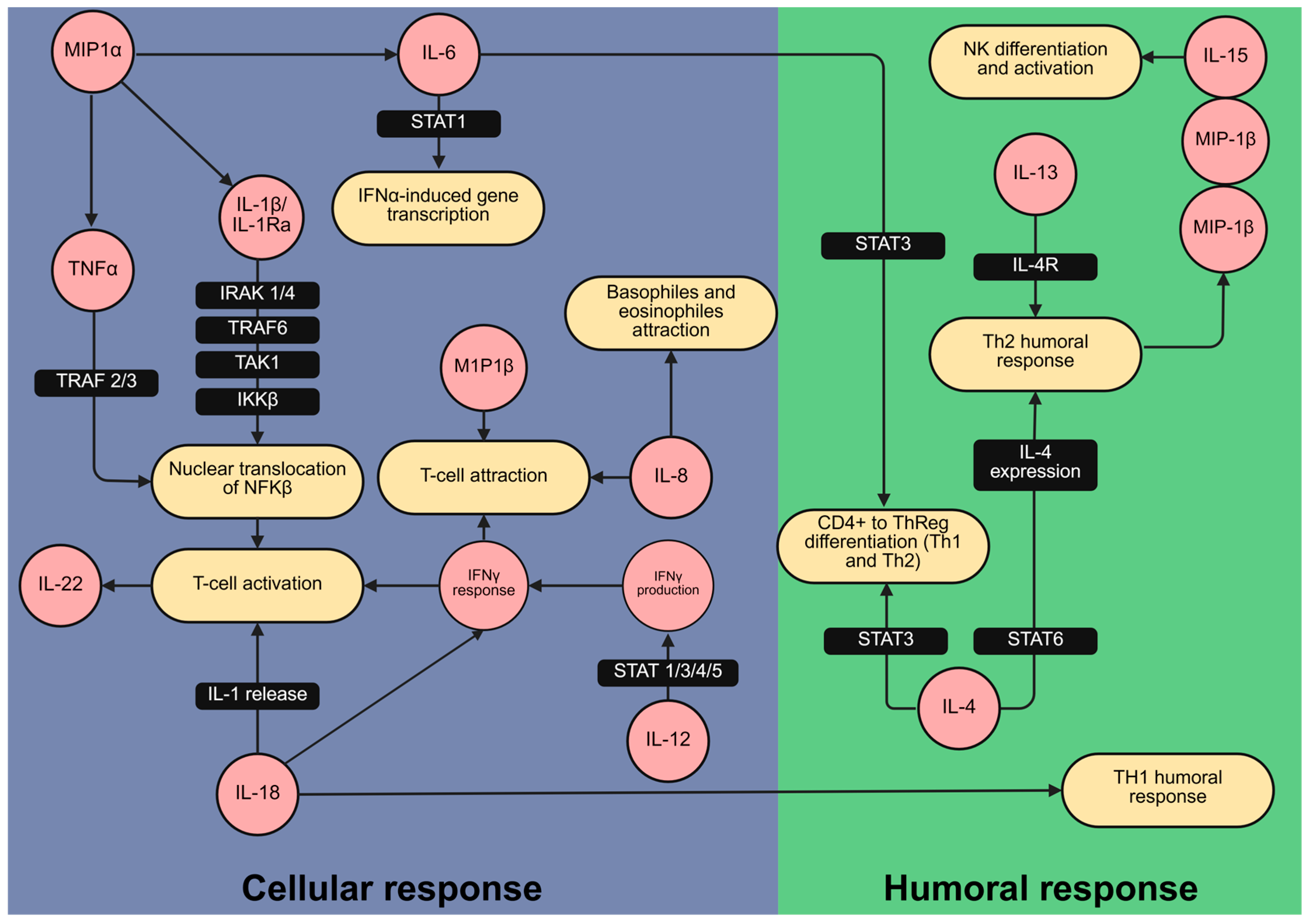 Biology 14 00714 g003