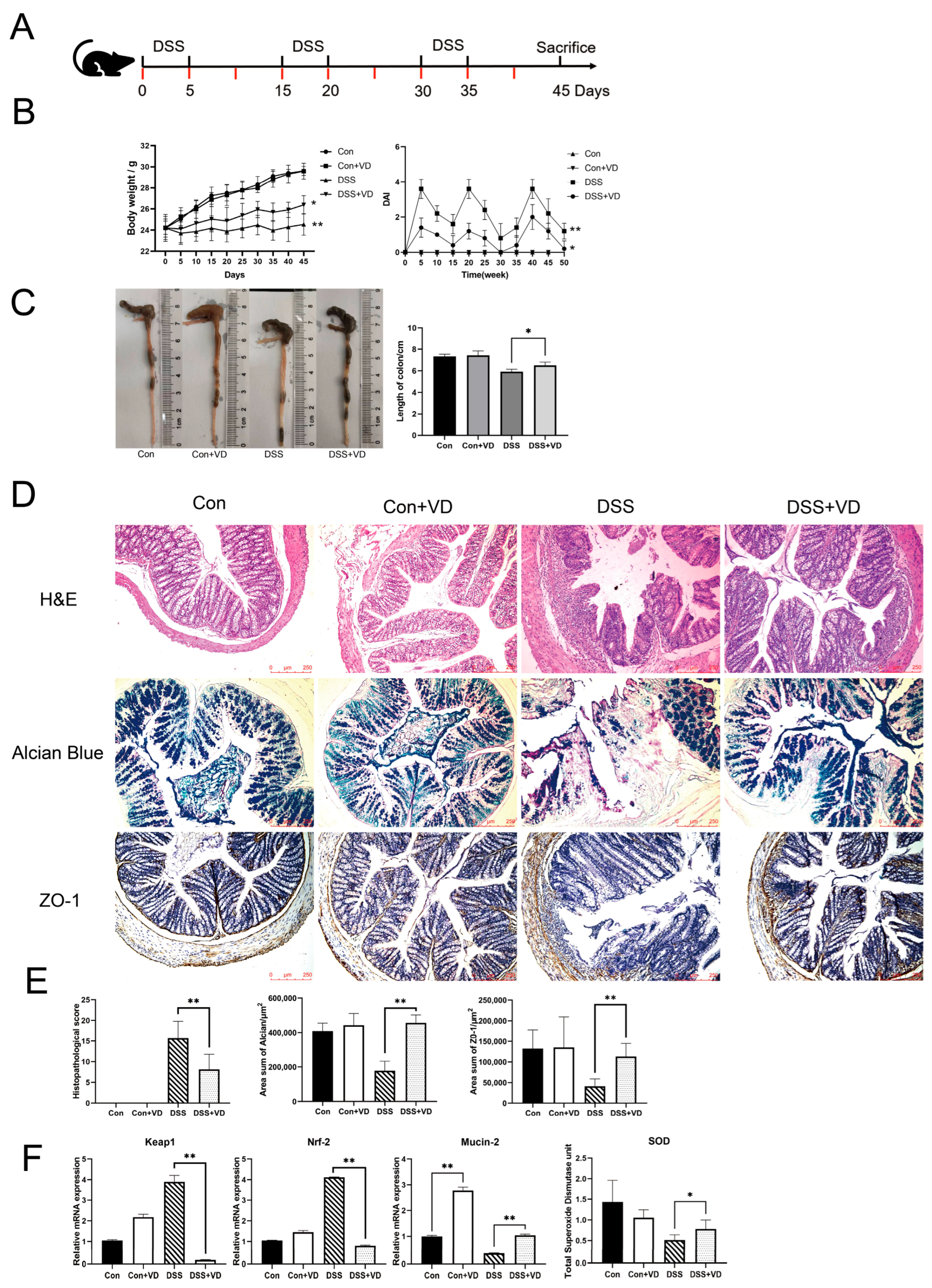 Biology 14 00715 g001