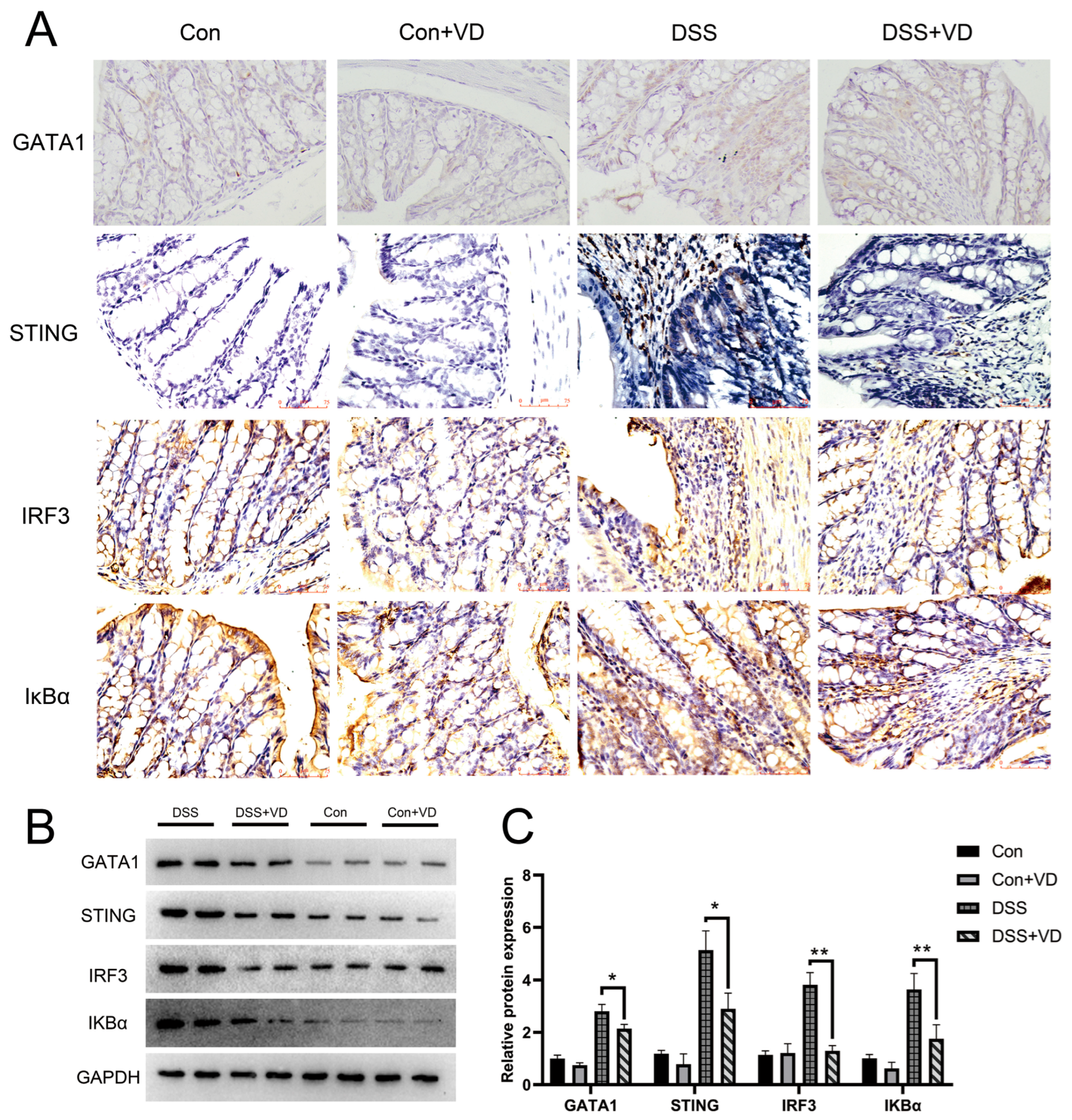 Biology 14 00715 g004