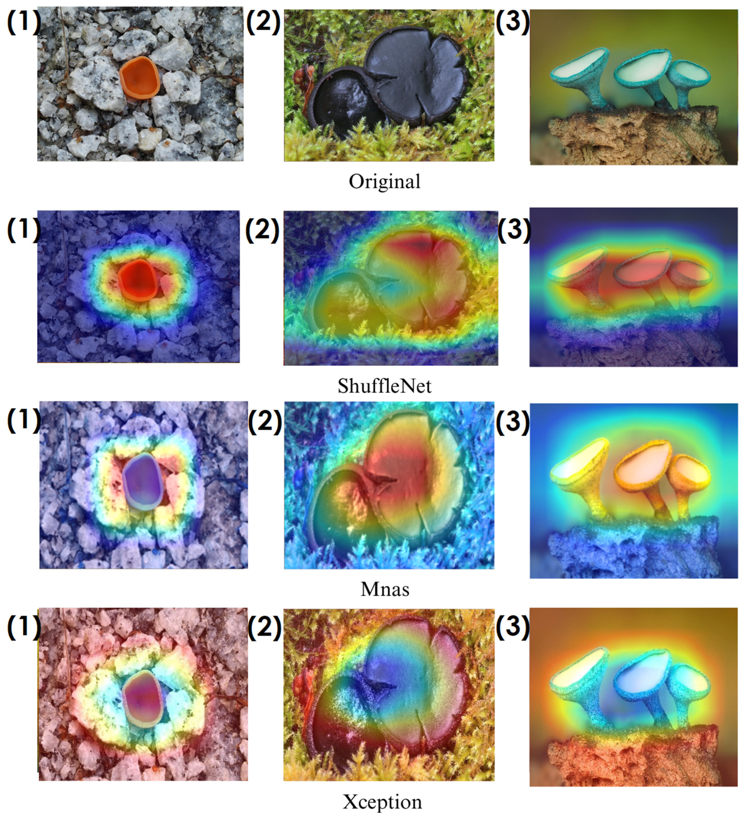 Biology 14 00719 g009
