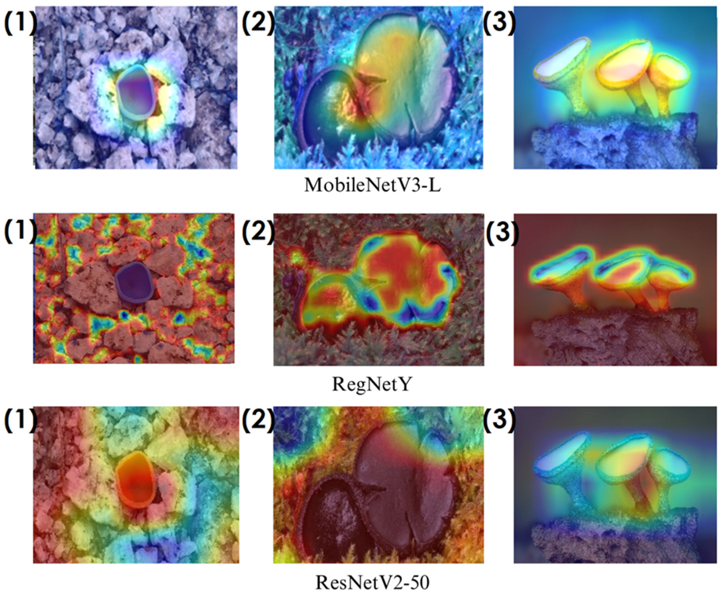 Biology 14 00719 g010