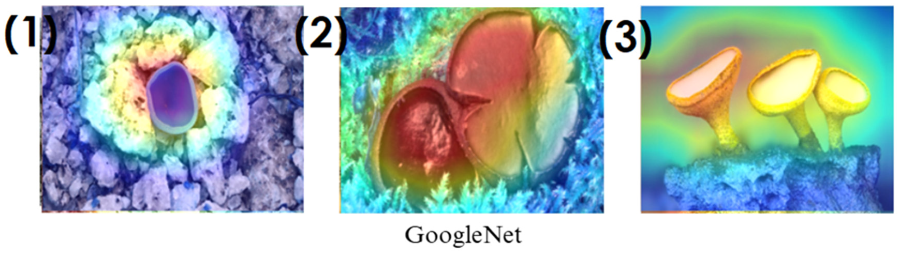 Biology 14 00719 g011