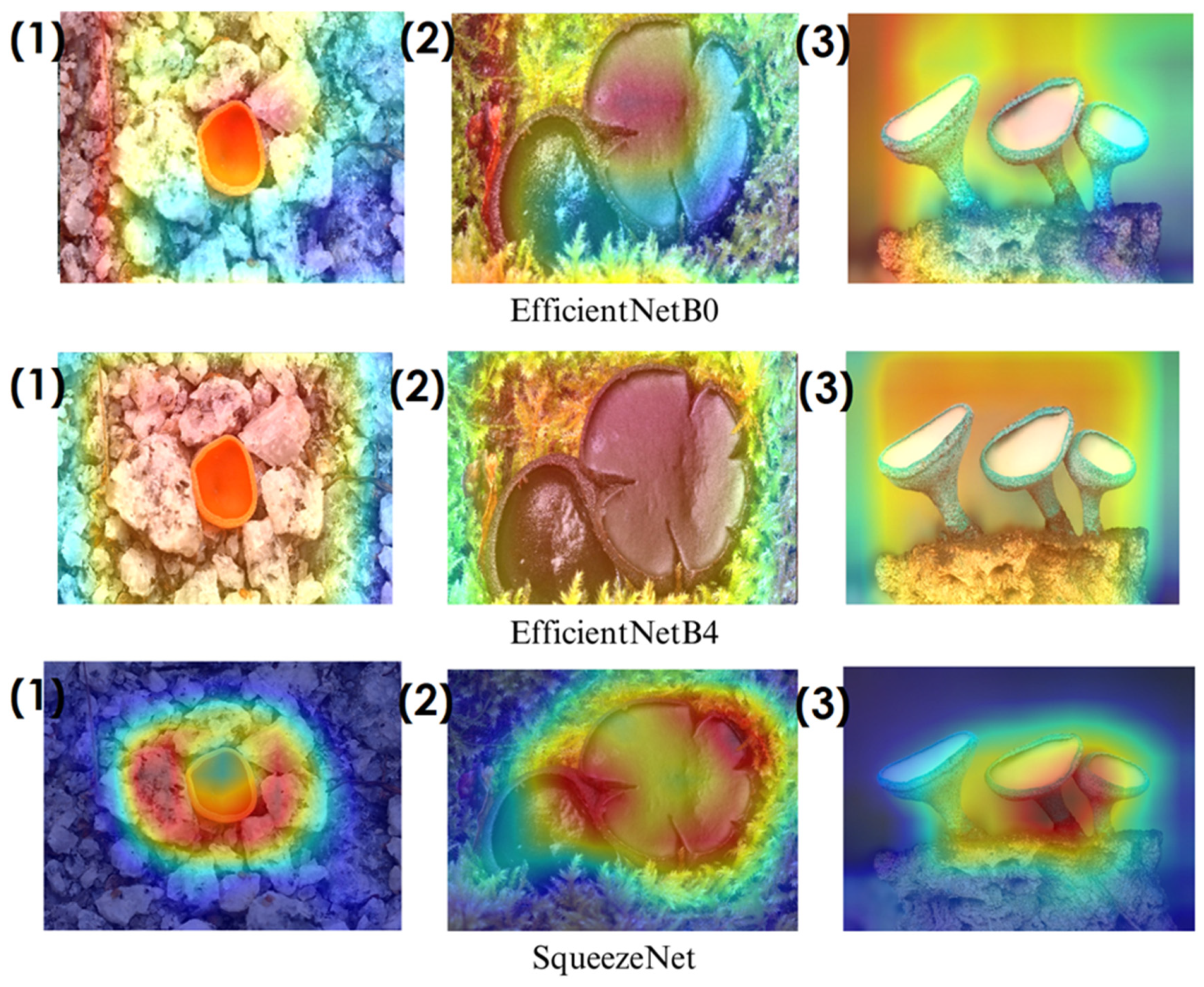 Biology 14 00719 g012