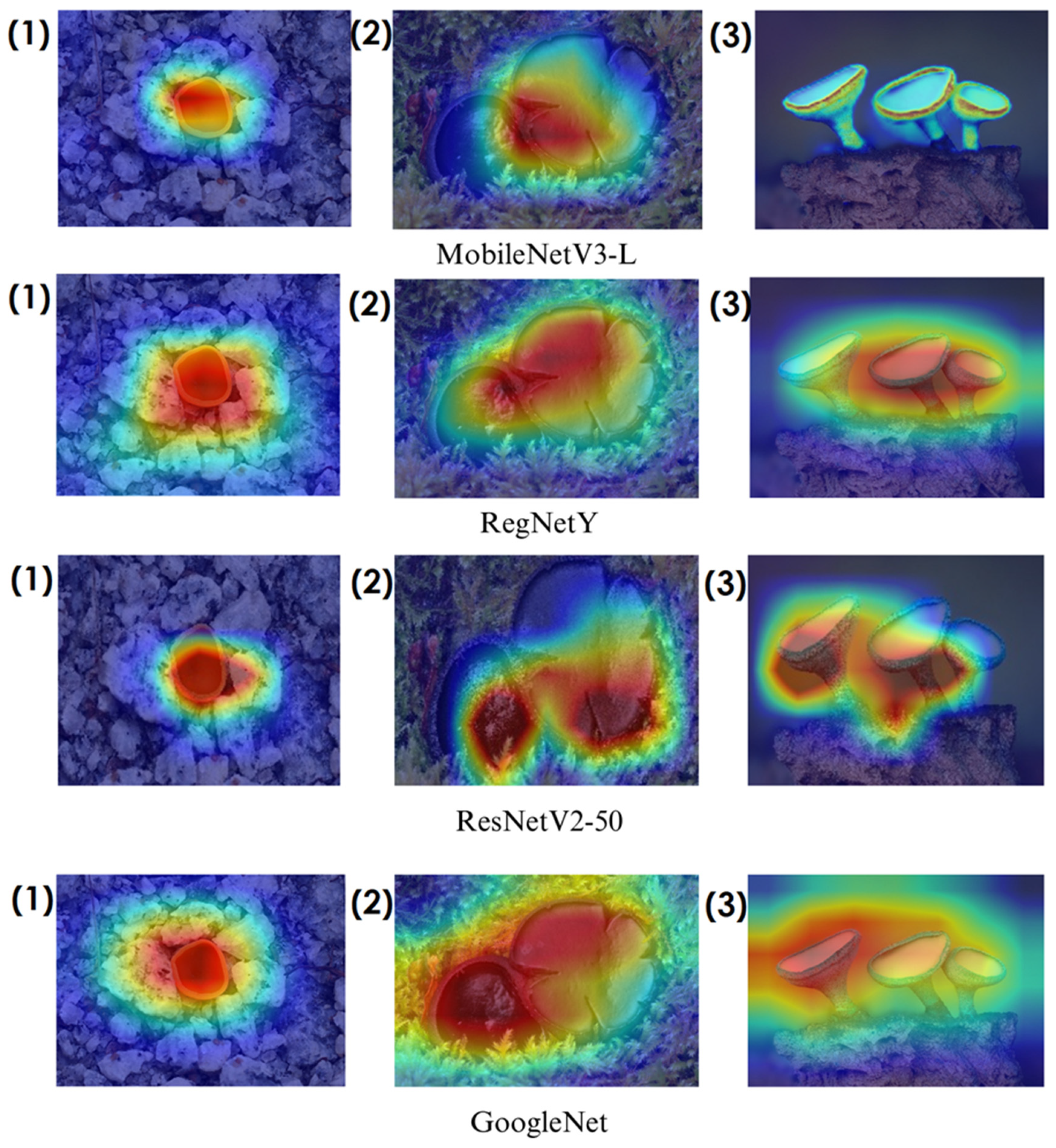 Biology 14 00719 g014