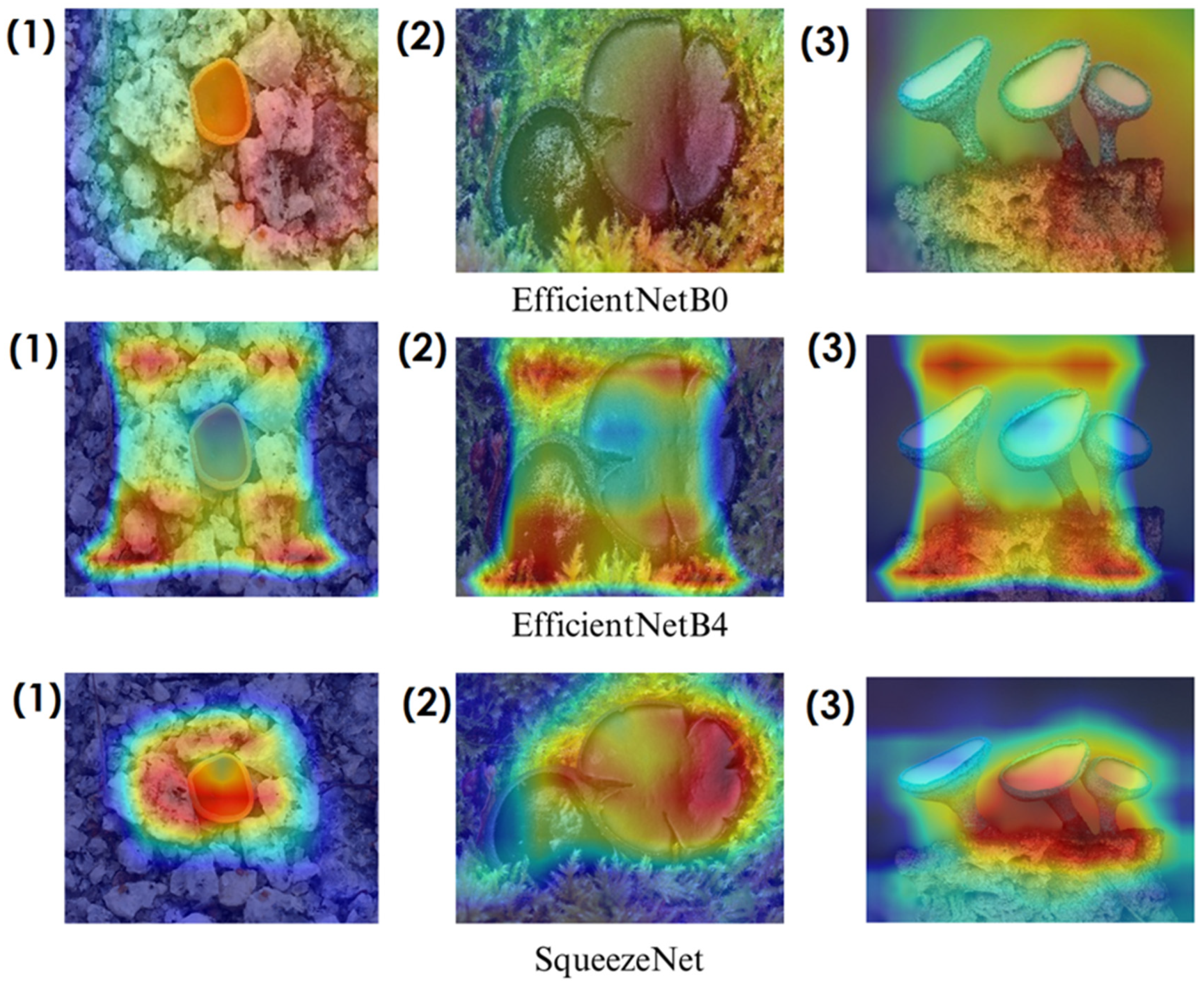 Biology 14 00719 g015