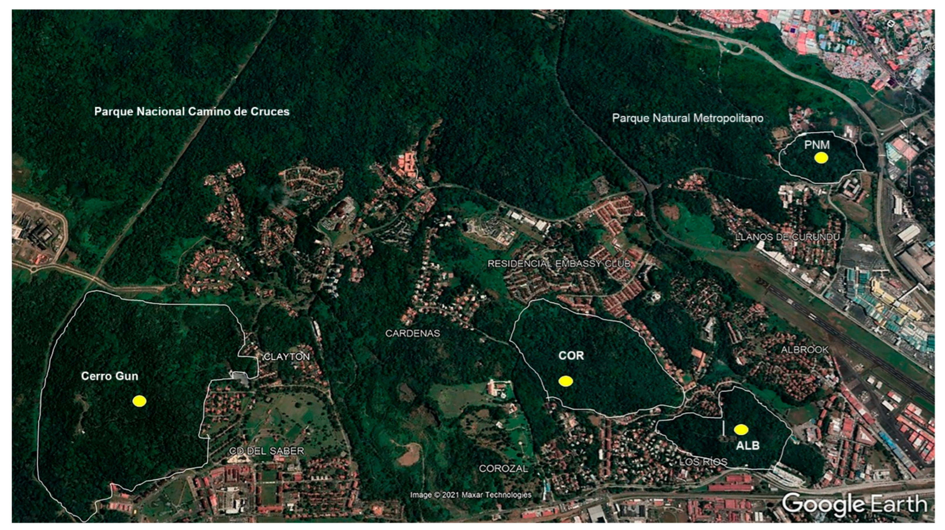 Biology 14 00721 g001