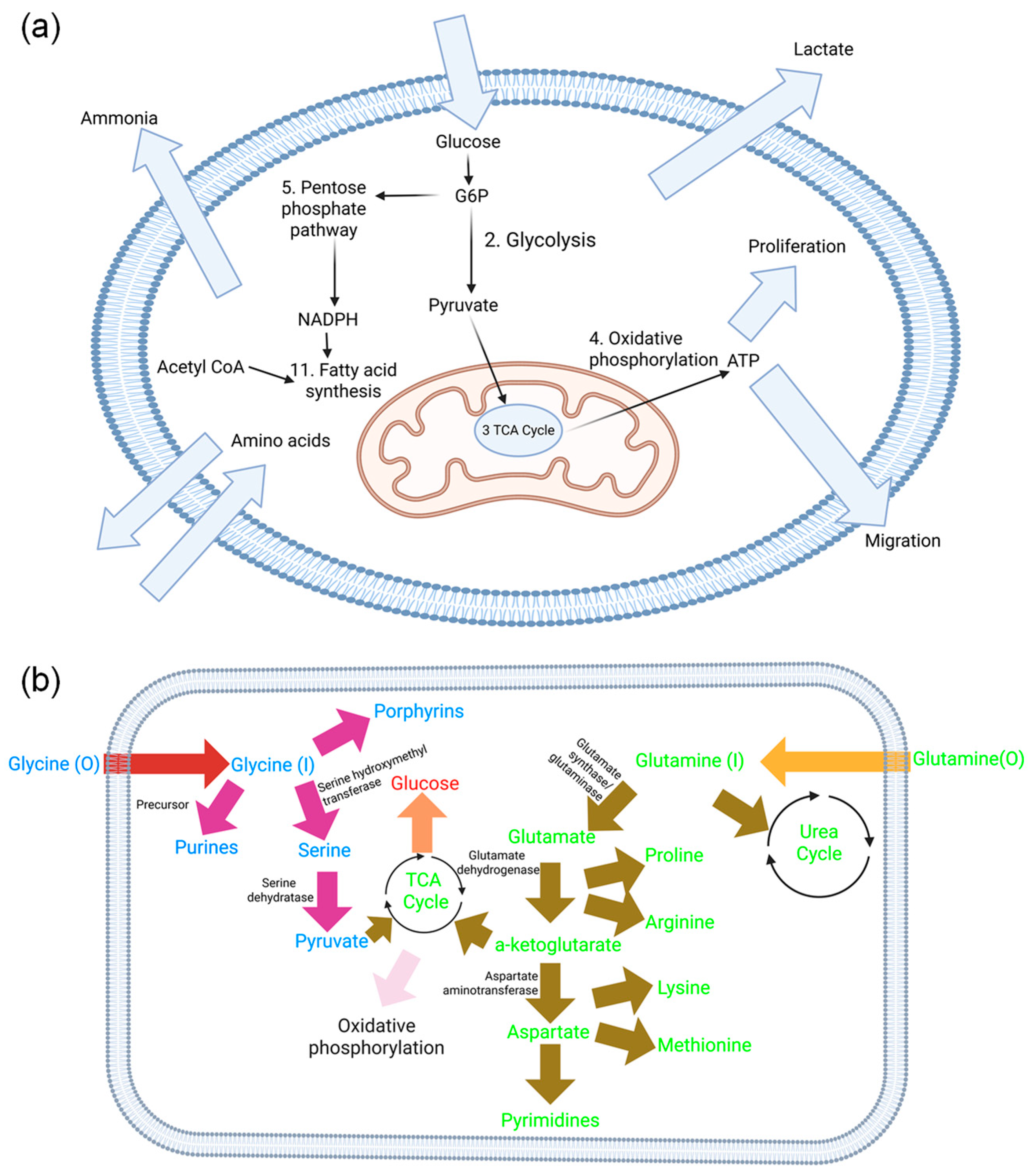 Biology 14 00722 g001