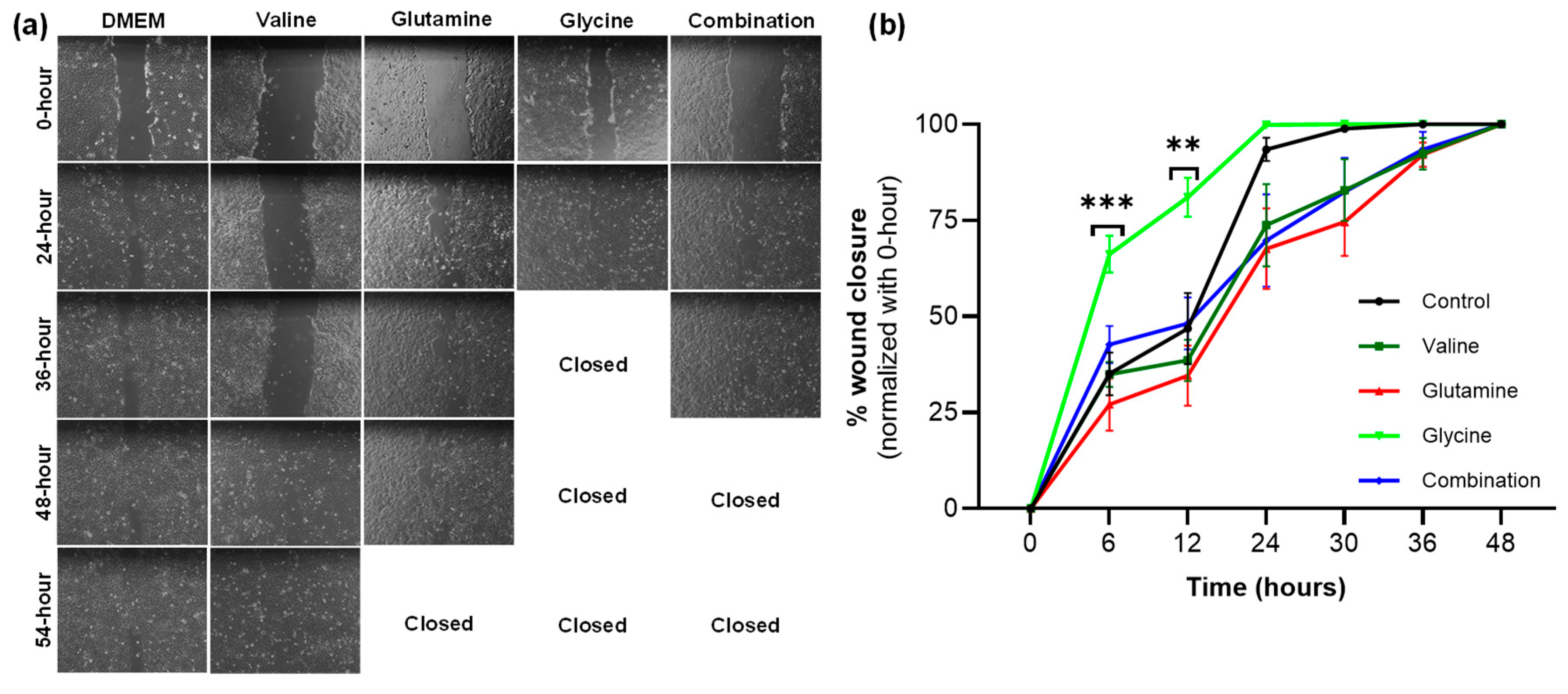 Biology 14 00722 g007