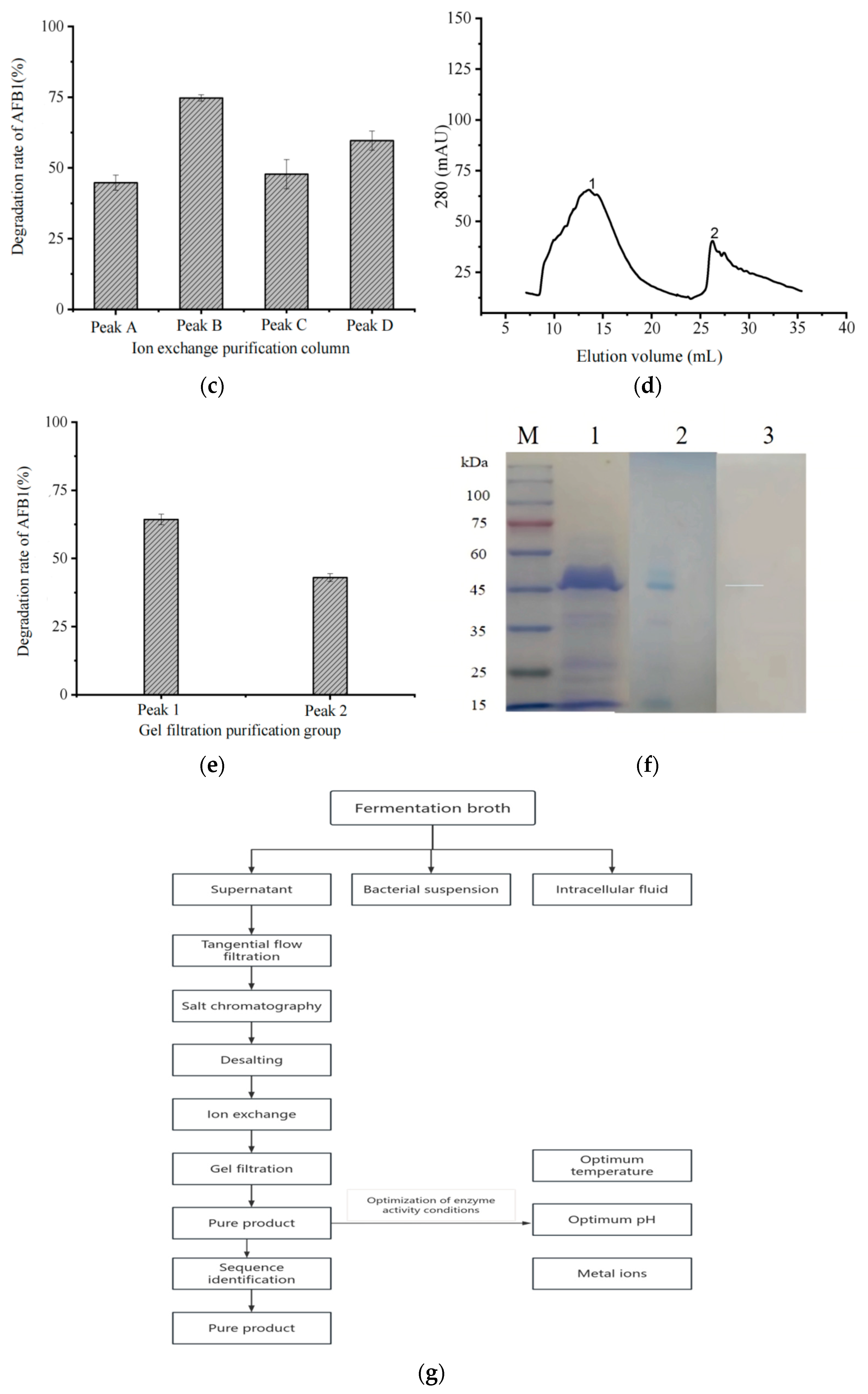 Biology 14 00724 g002b