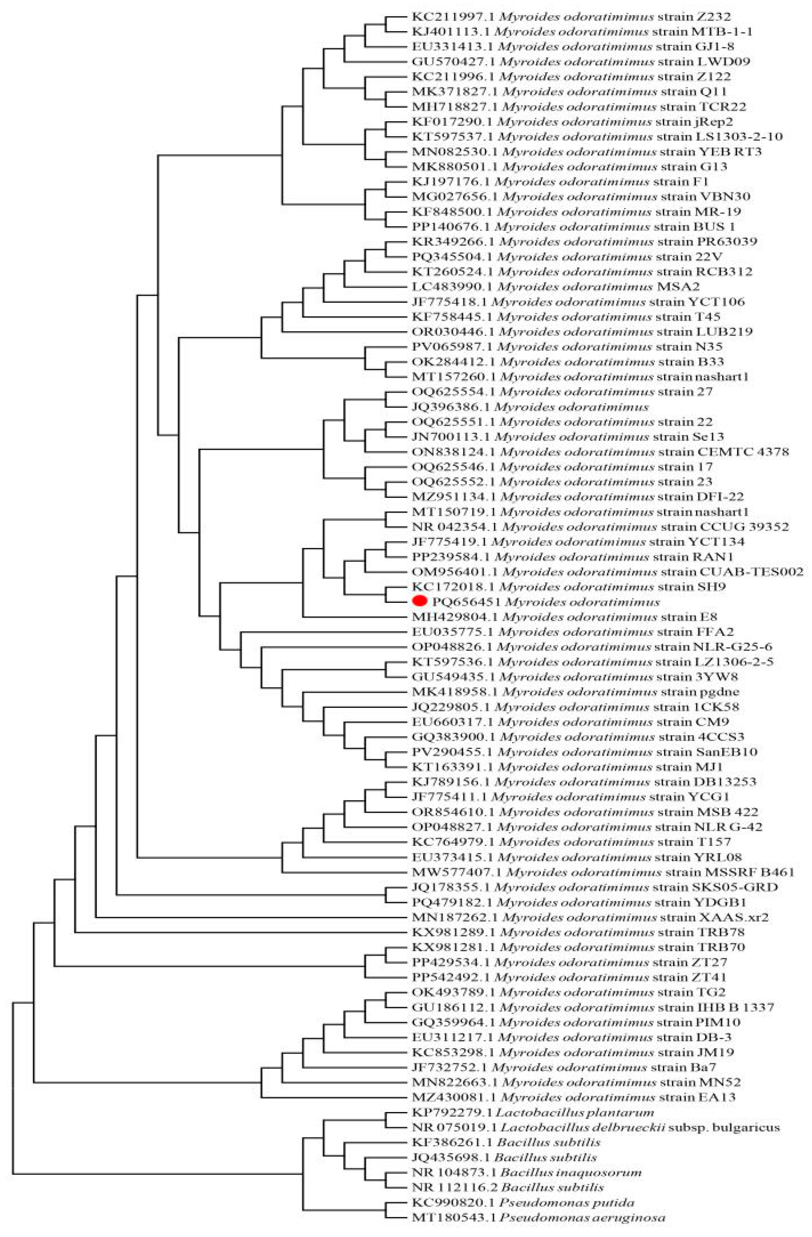 Biology 14 00724 g003
