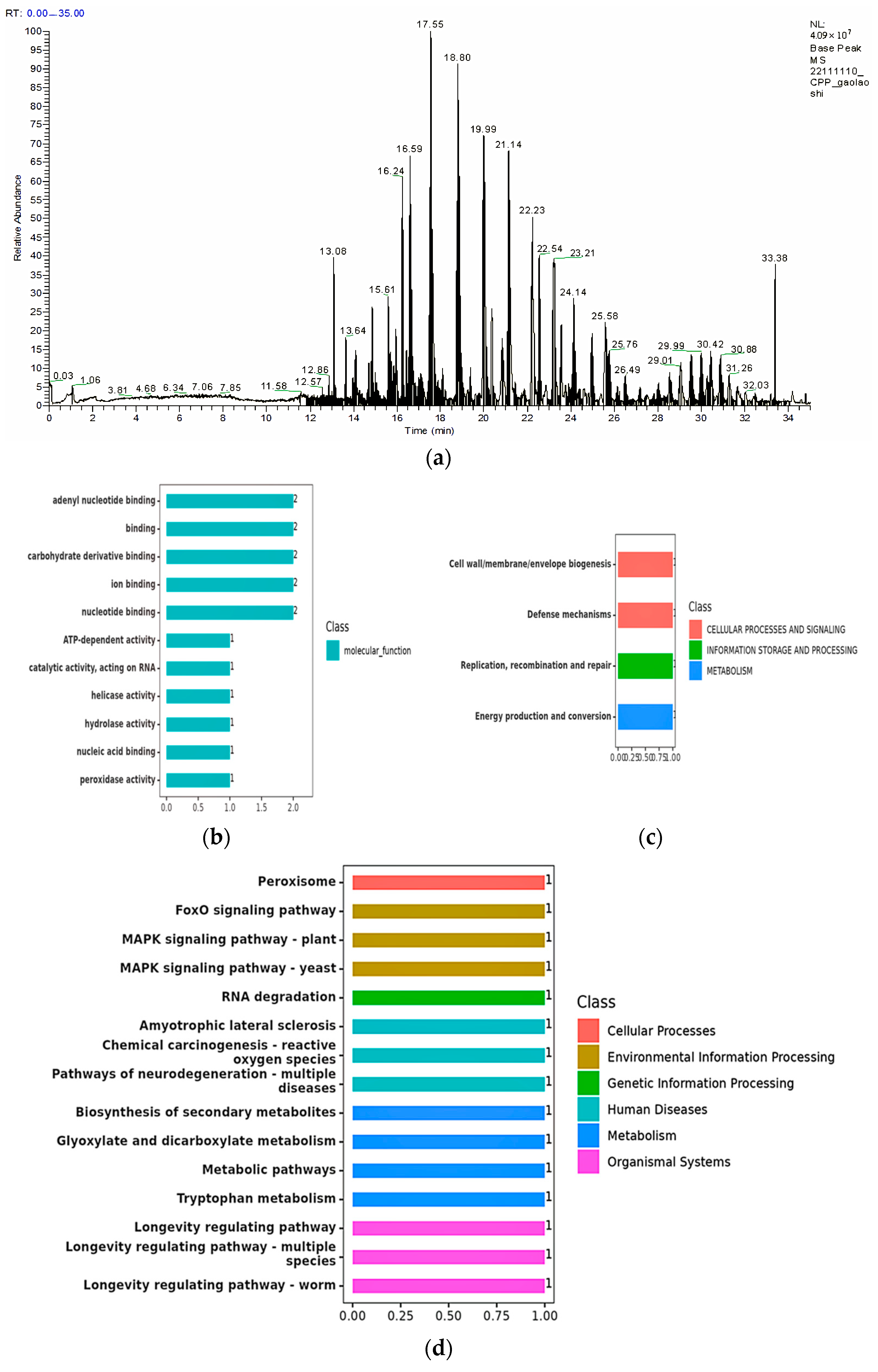 Biology 14 00724 g004