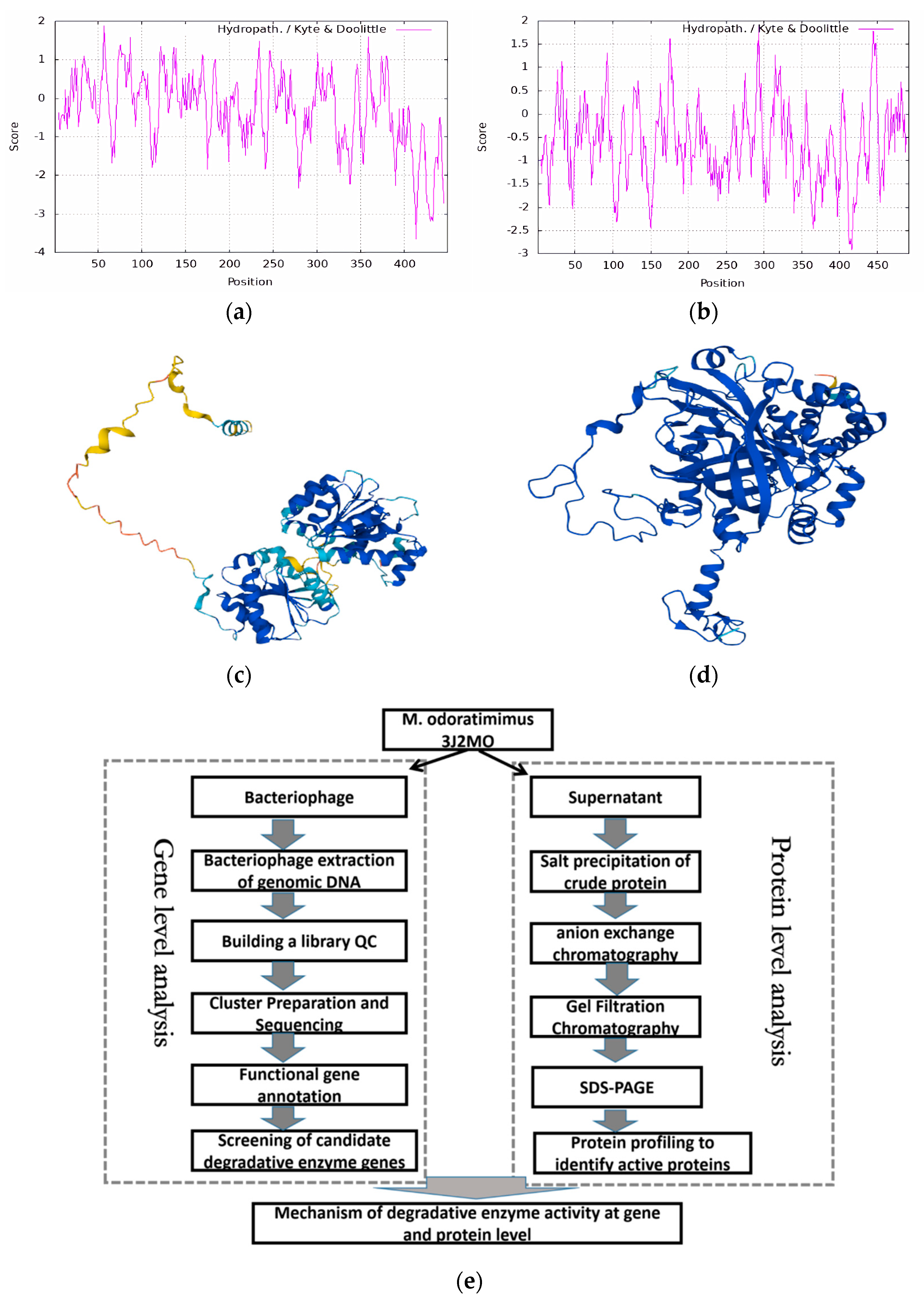 Biology 14 00724 g005