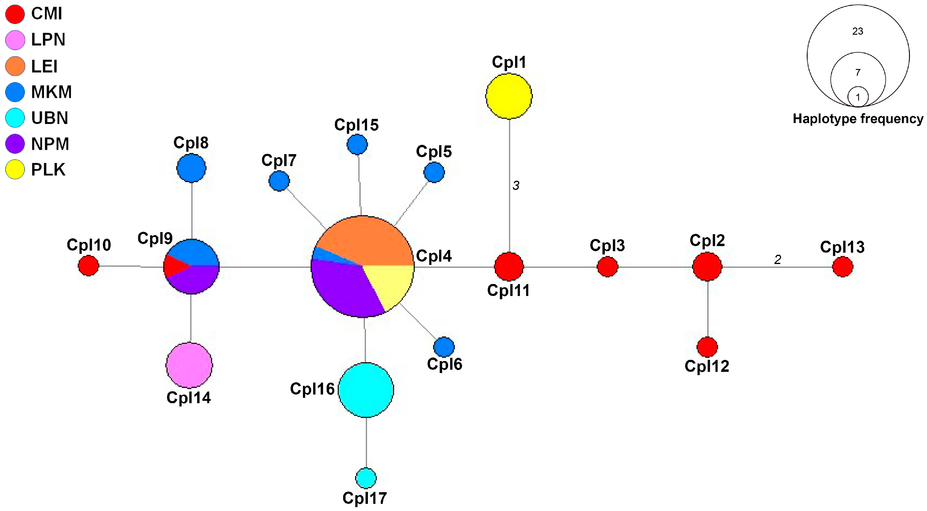 Biology 14 00725 g002