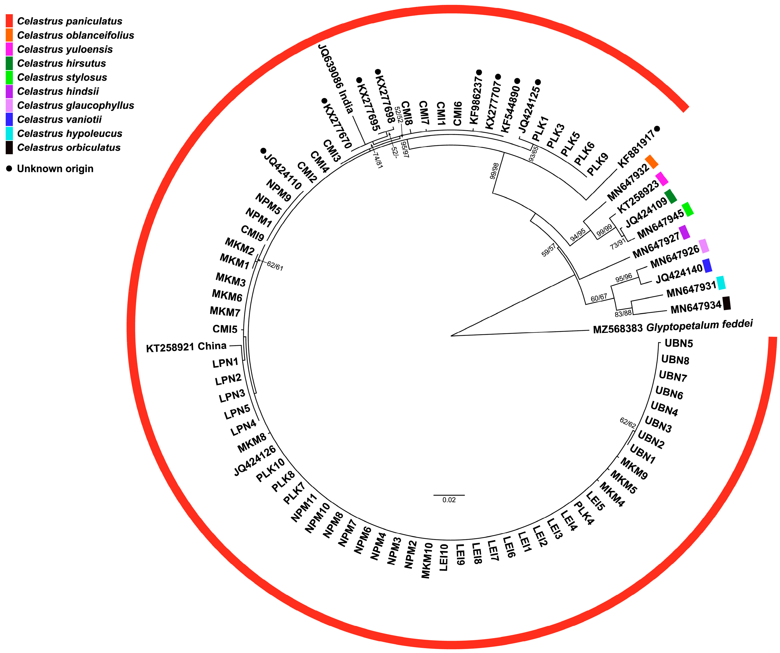 Biology 14 00725 g004